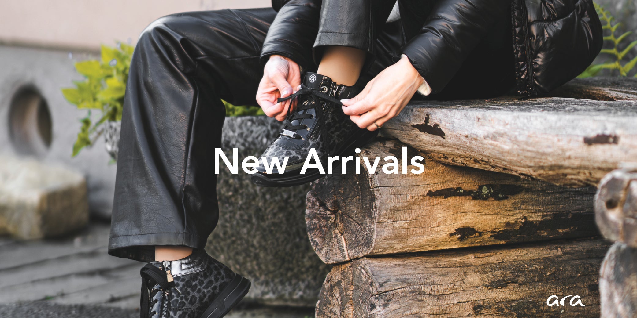 New Arrivals
