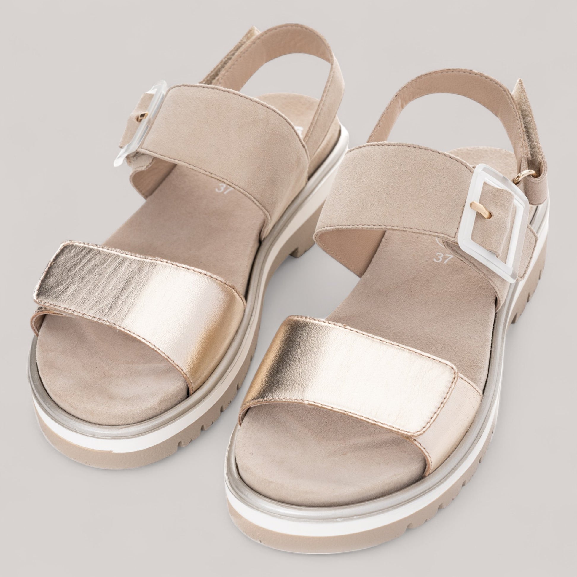 Ara - 21003 - Malaga