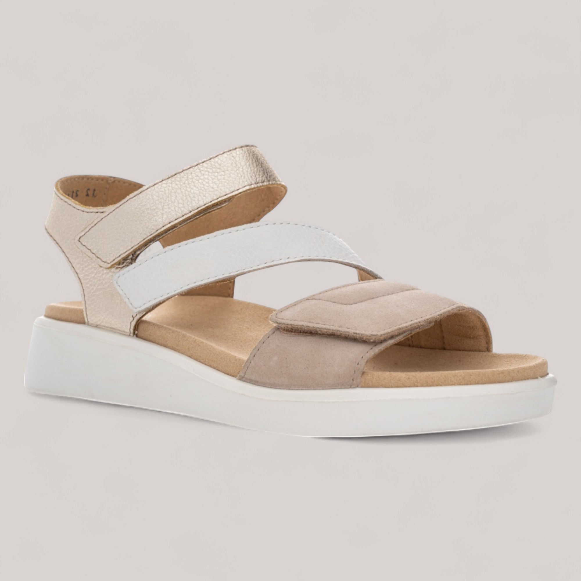 Ara - 21407 - Madeira