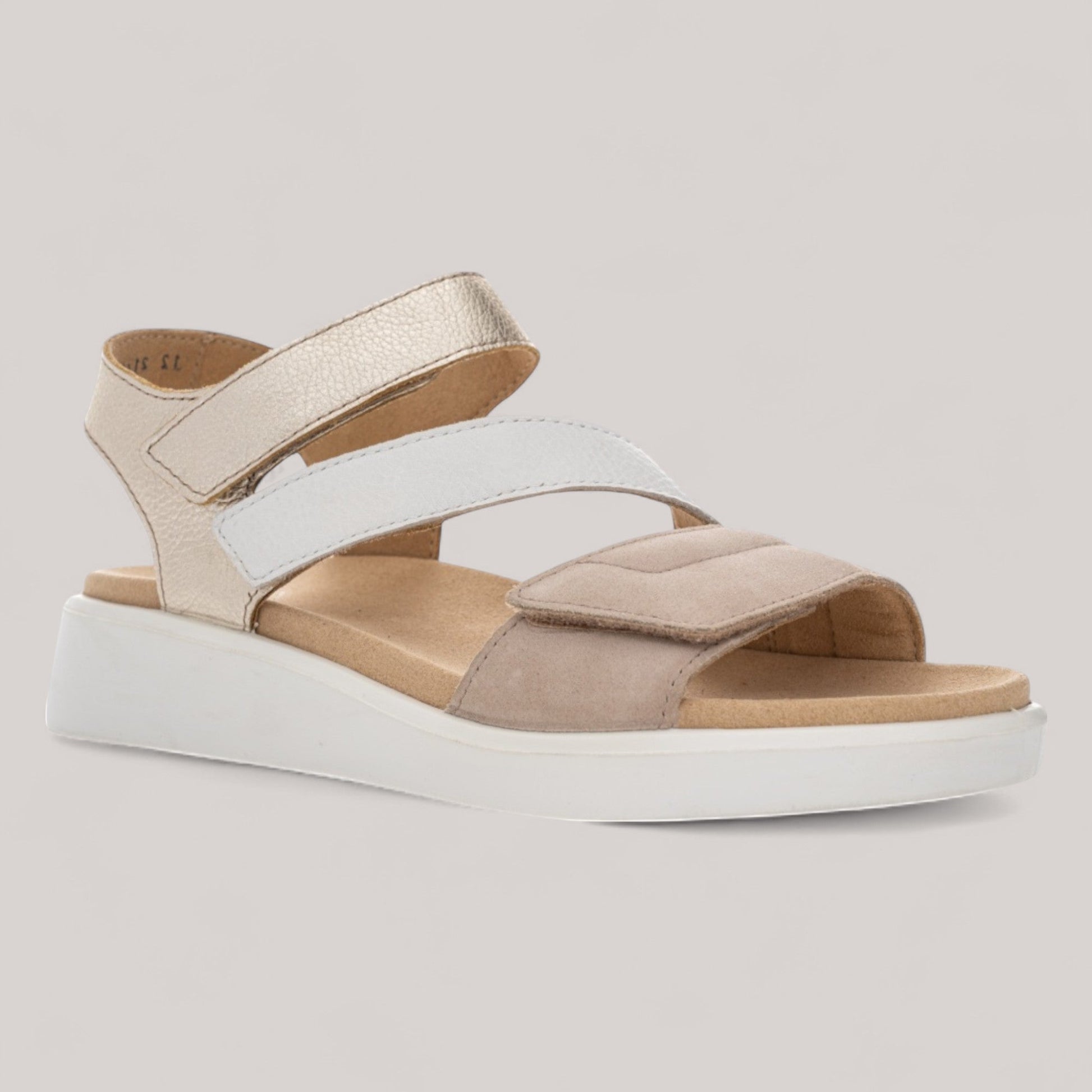 Ara - 21407 - Madeira