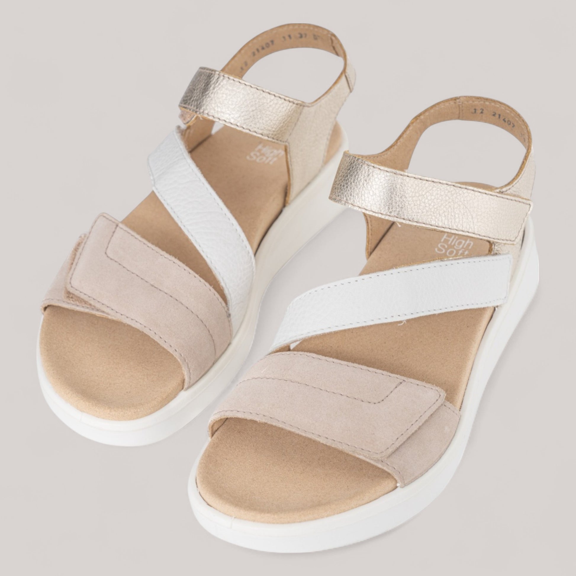 Ara - 21407 - Madeira