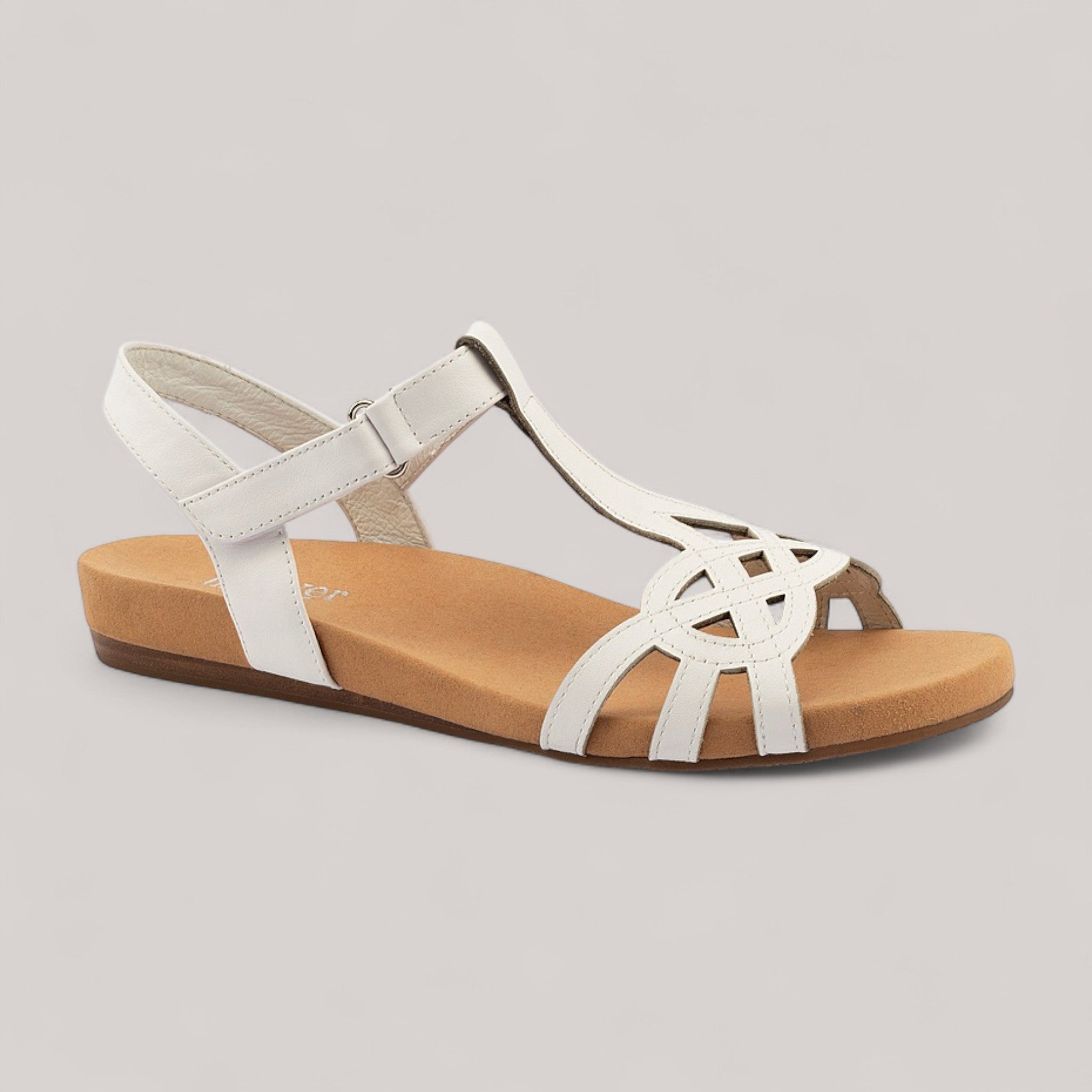 Silver Lining - Dhara