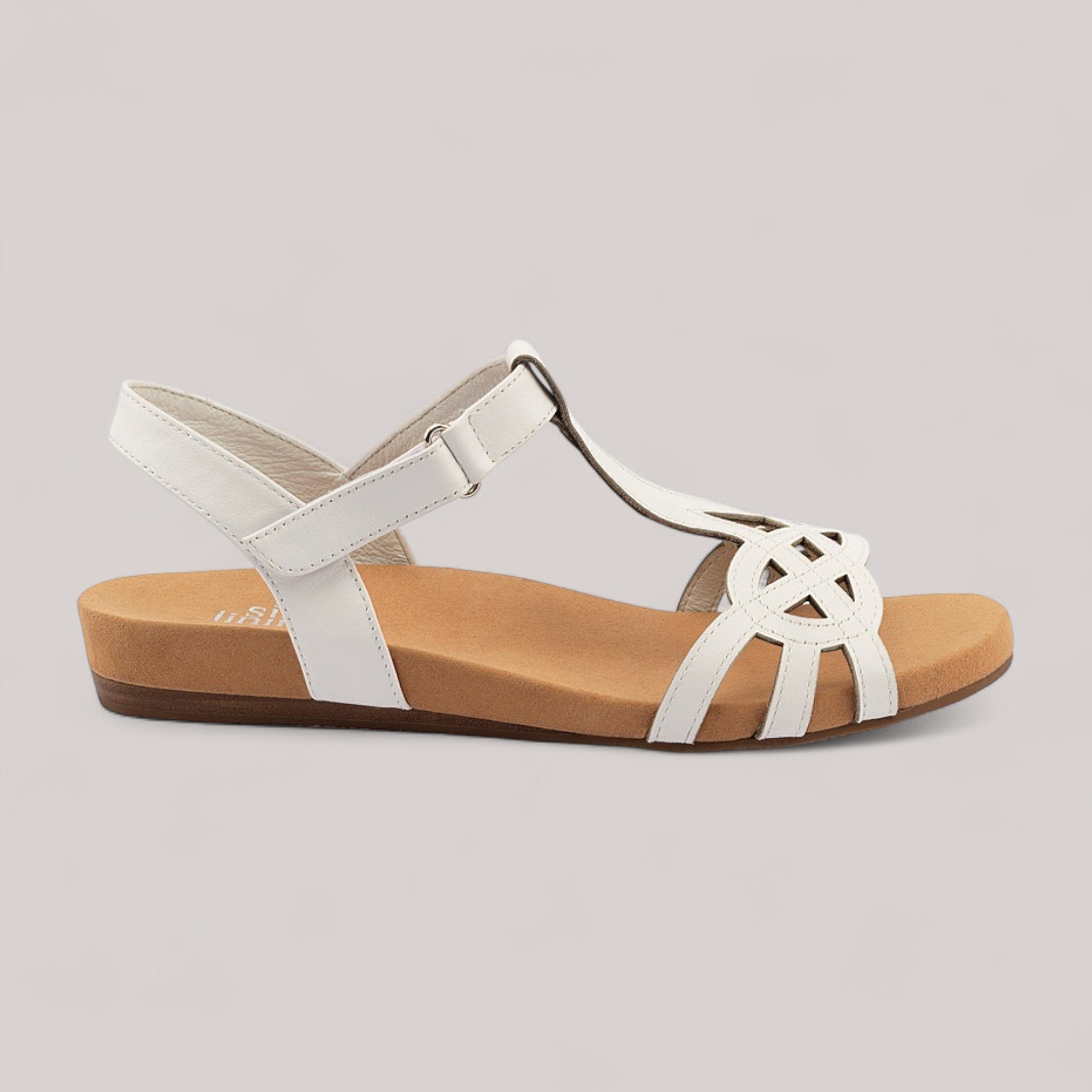 Silver Lining - Dhara