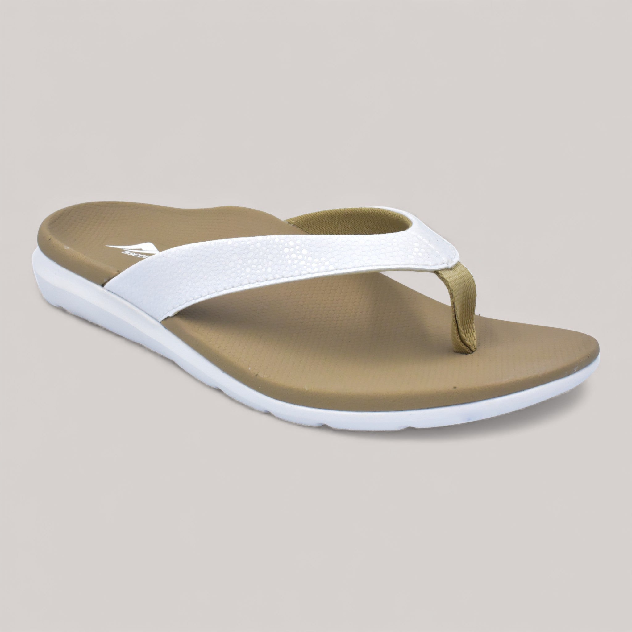 Ascent - Groove Ladies