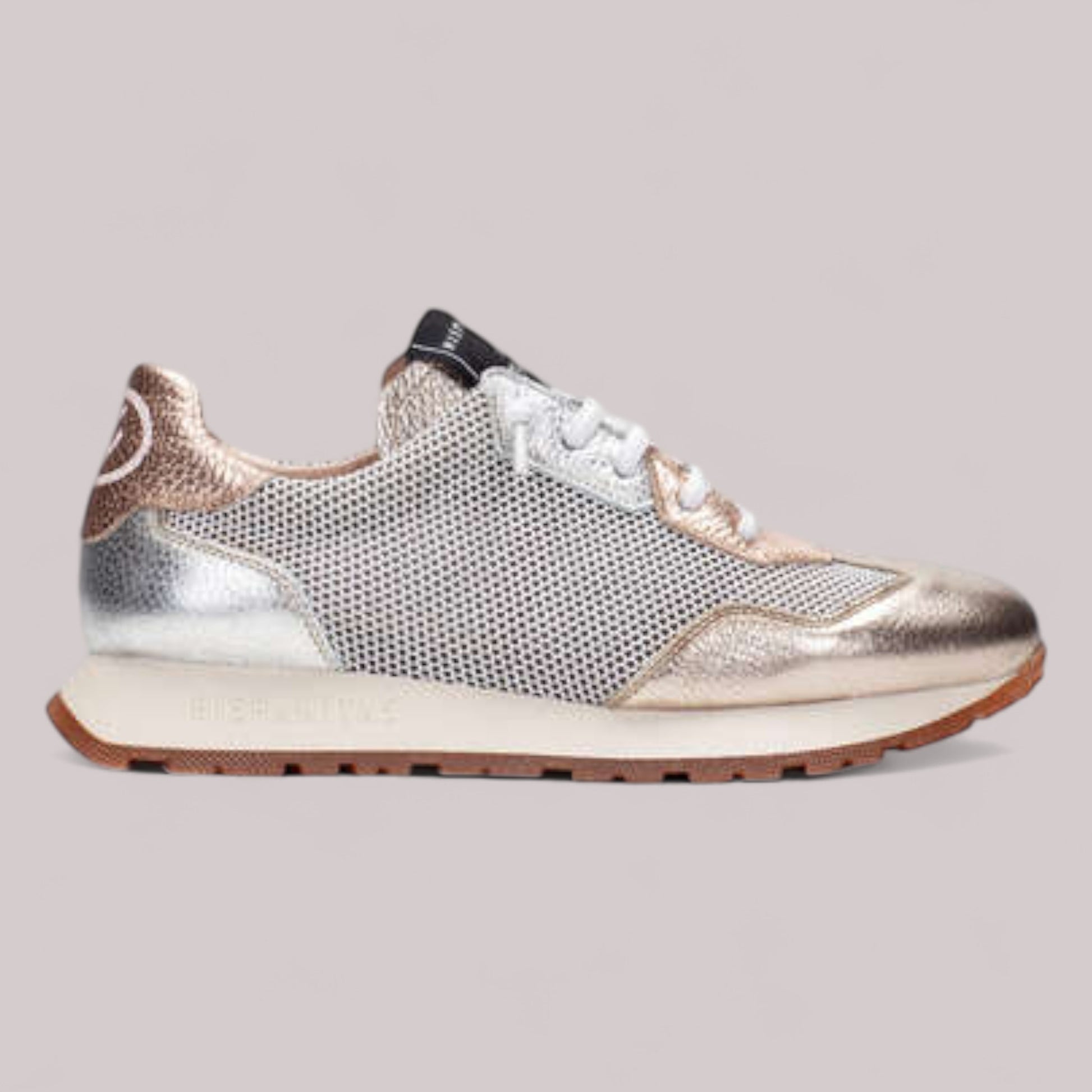 Hispanitas - Chv253869 - Kansas