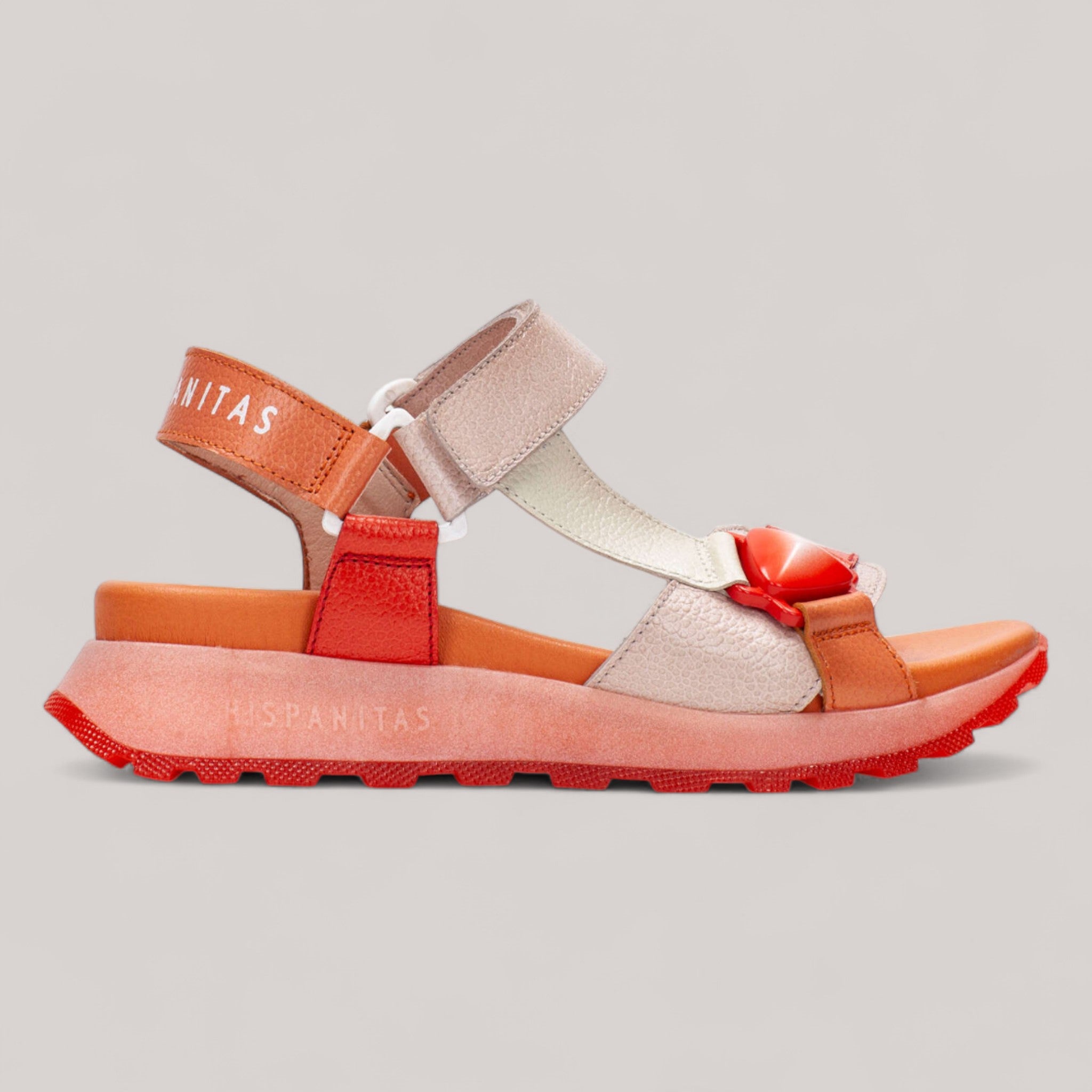 Hispanitas - Chv253896 - Maui