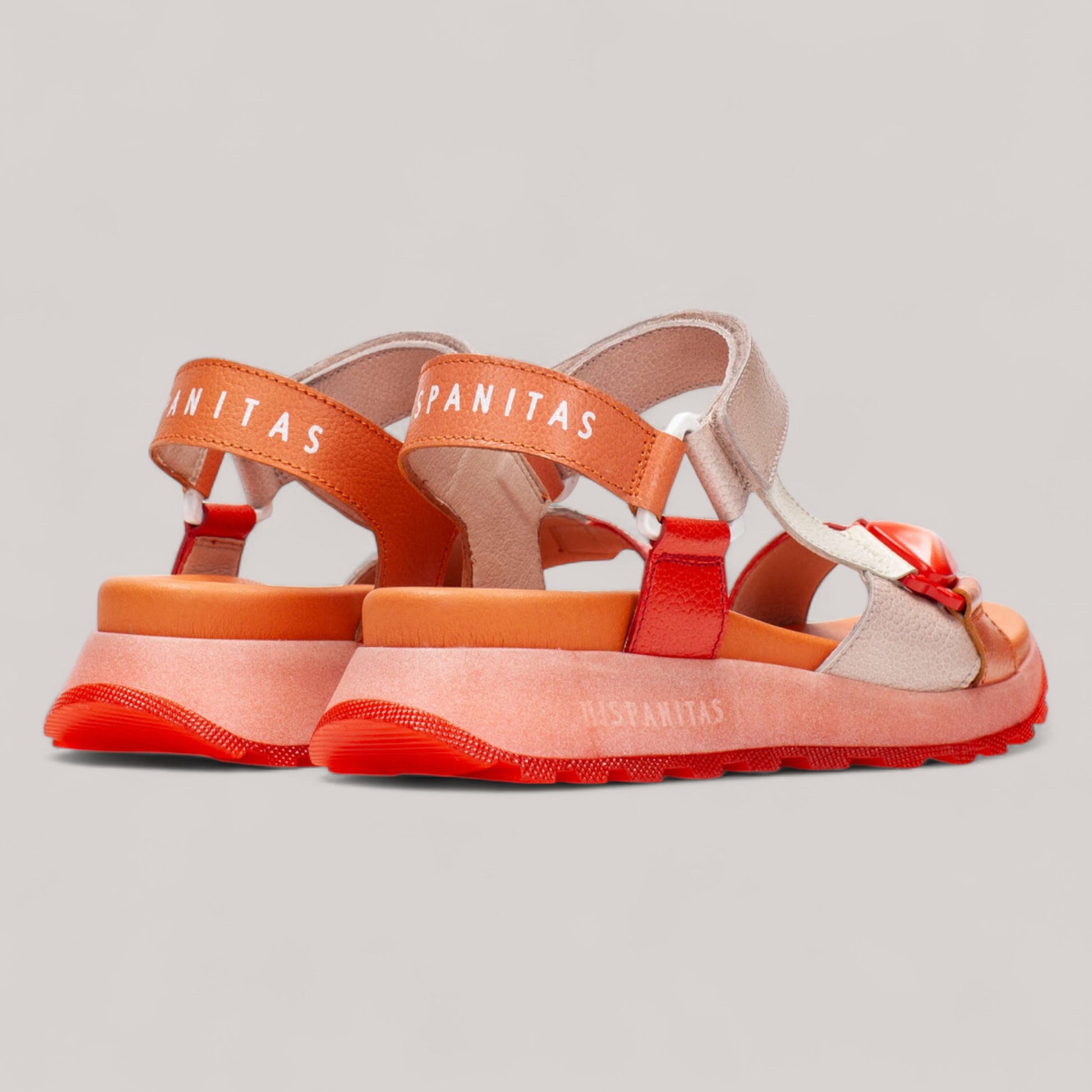 Hispanitas - Chv253896 - Maui