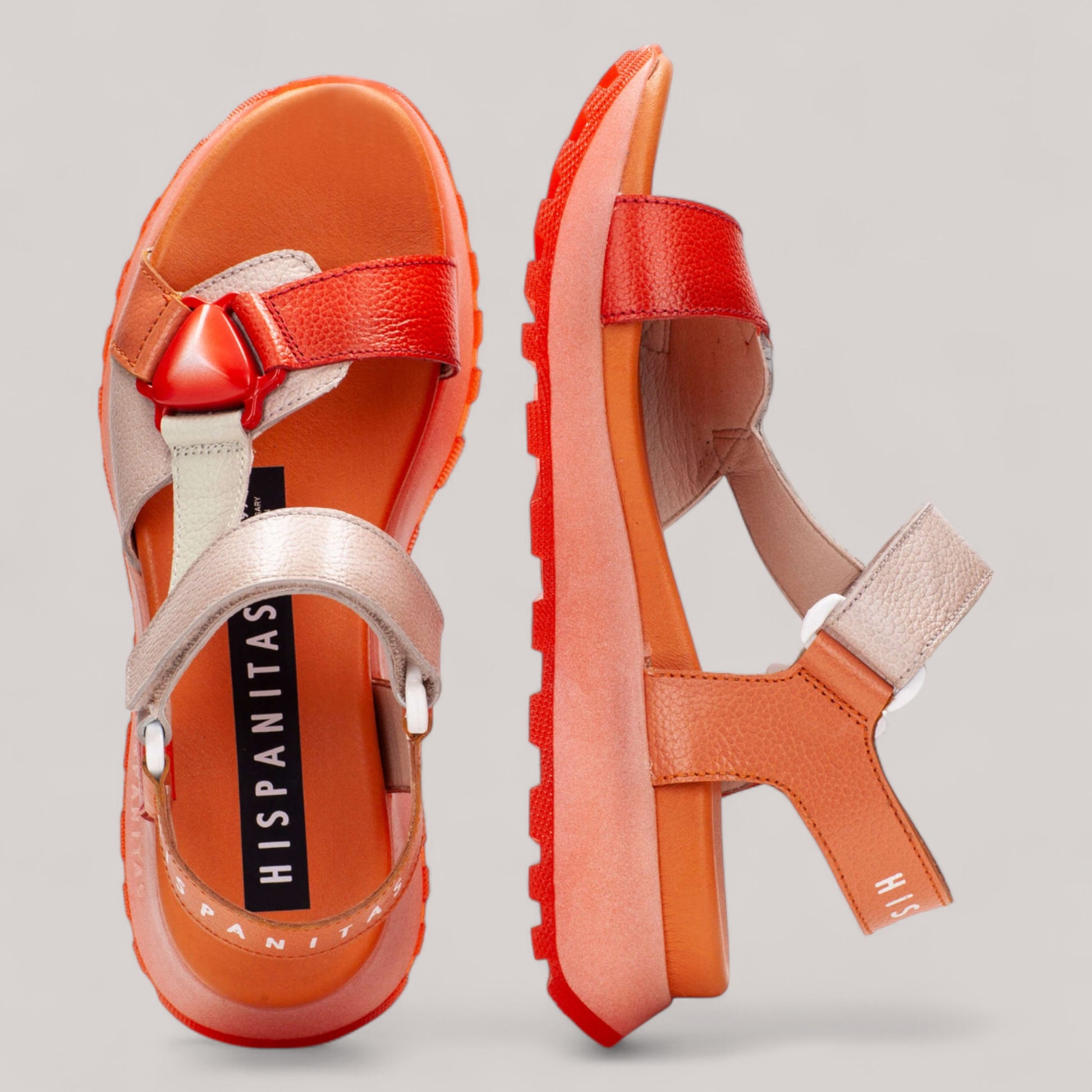 Hispanitas - Chv253896 - Maui