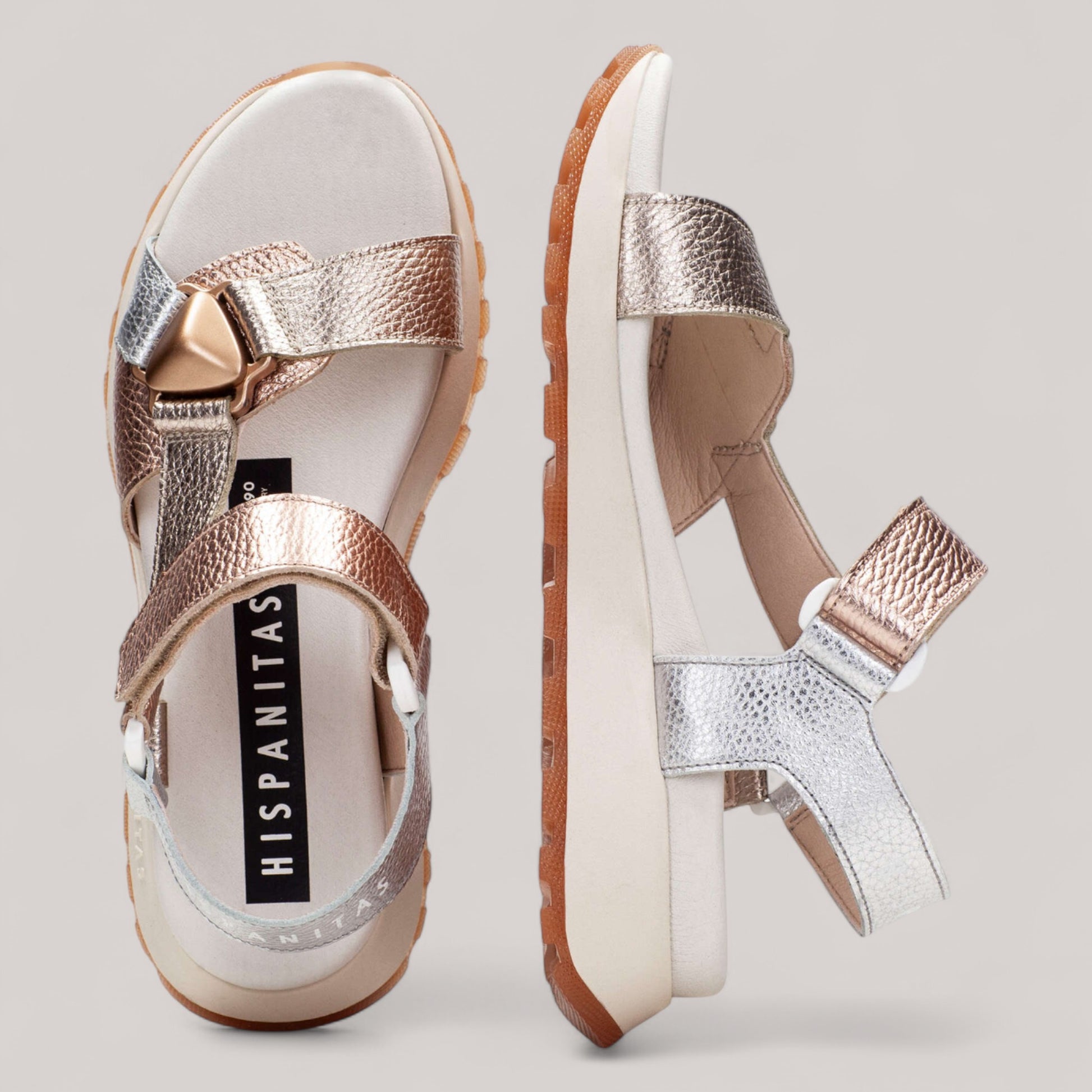 Hispanitas - Chv253896 - Maui