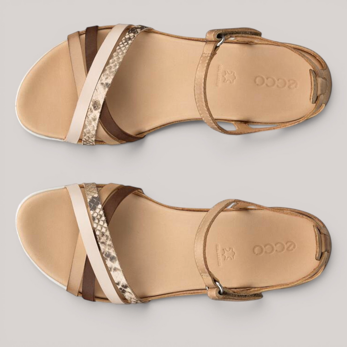 Grundy's Shoes ECCO Flash sandals featuring multi-tonal brown and snakeskin-patterned leather straps with ankle buckle.