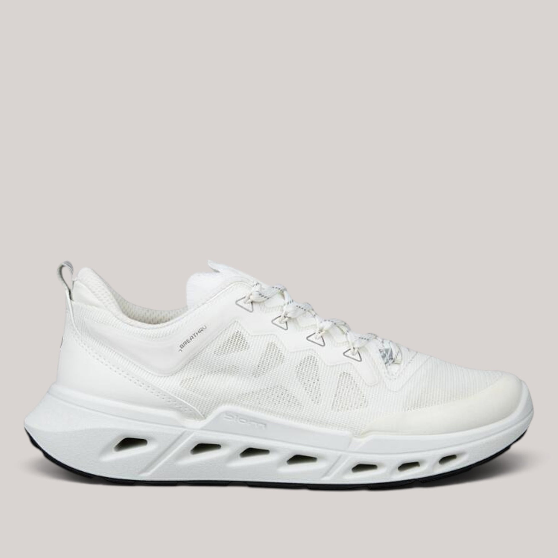 ECCO - 850313