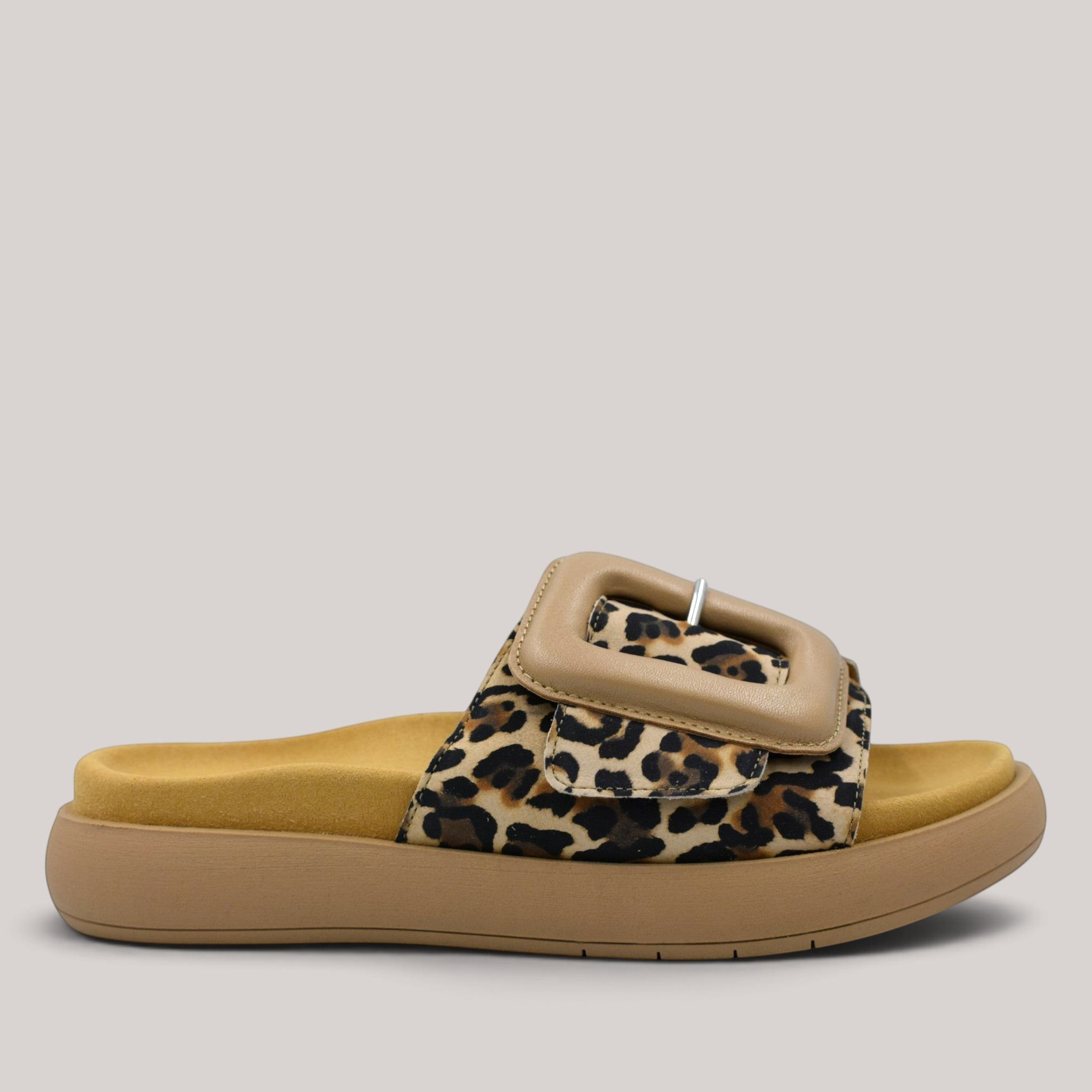 Grundy's Shoes Gabor leopard print suede slide sandal with a large beige buckle and contoured footbed