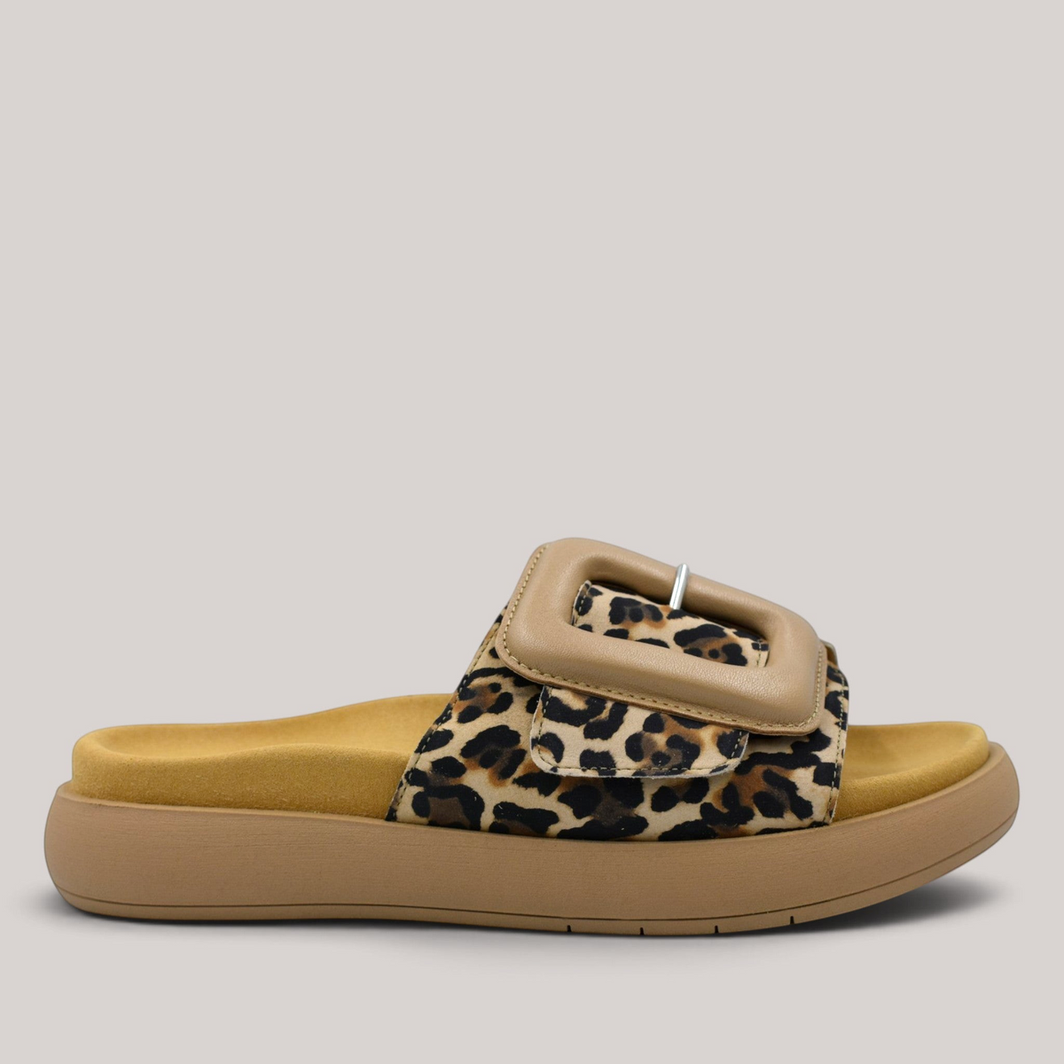 Grundy's Shoes Gabor leopard print suede slide sandal with a large beige buckle and contoured footbed