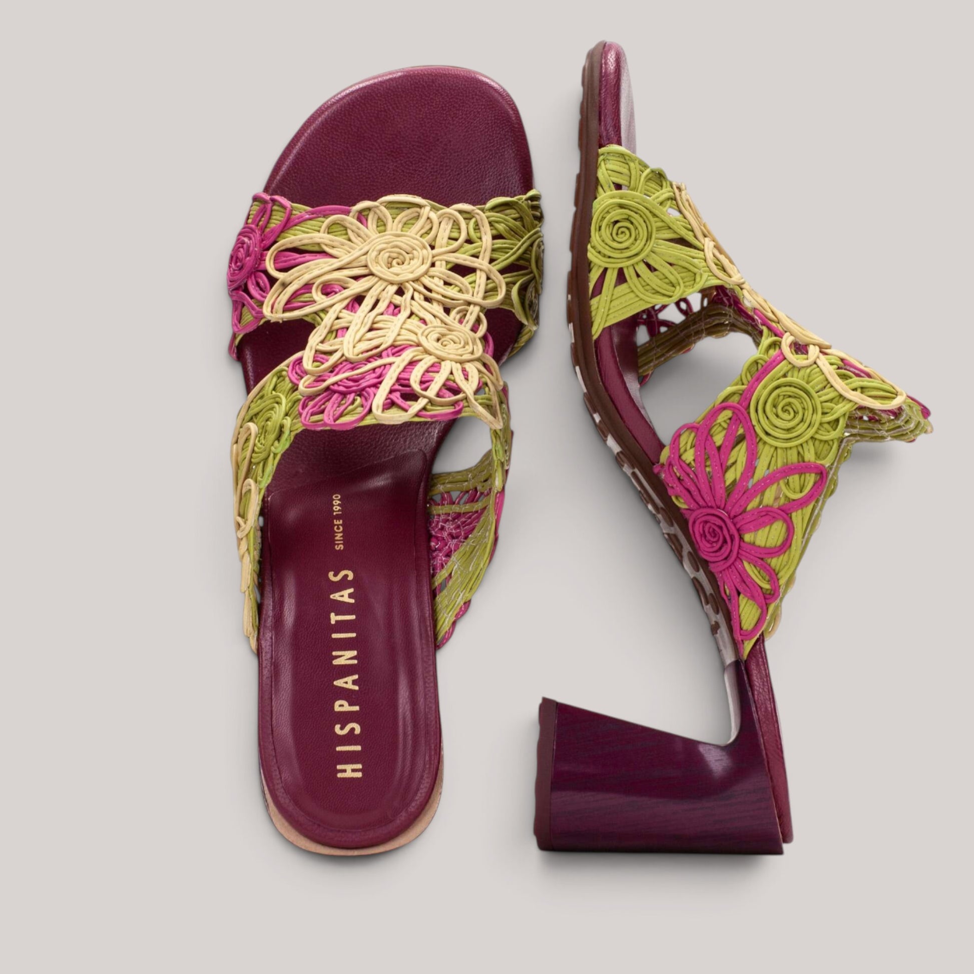 Hispanitas - Hv264801 - Orquidea