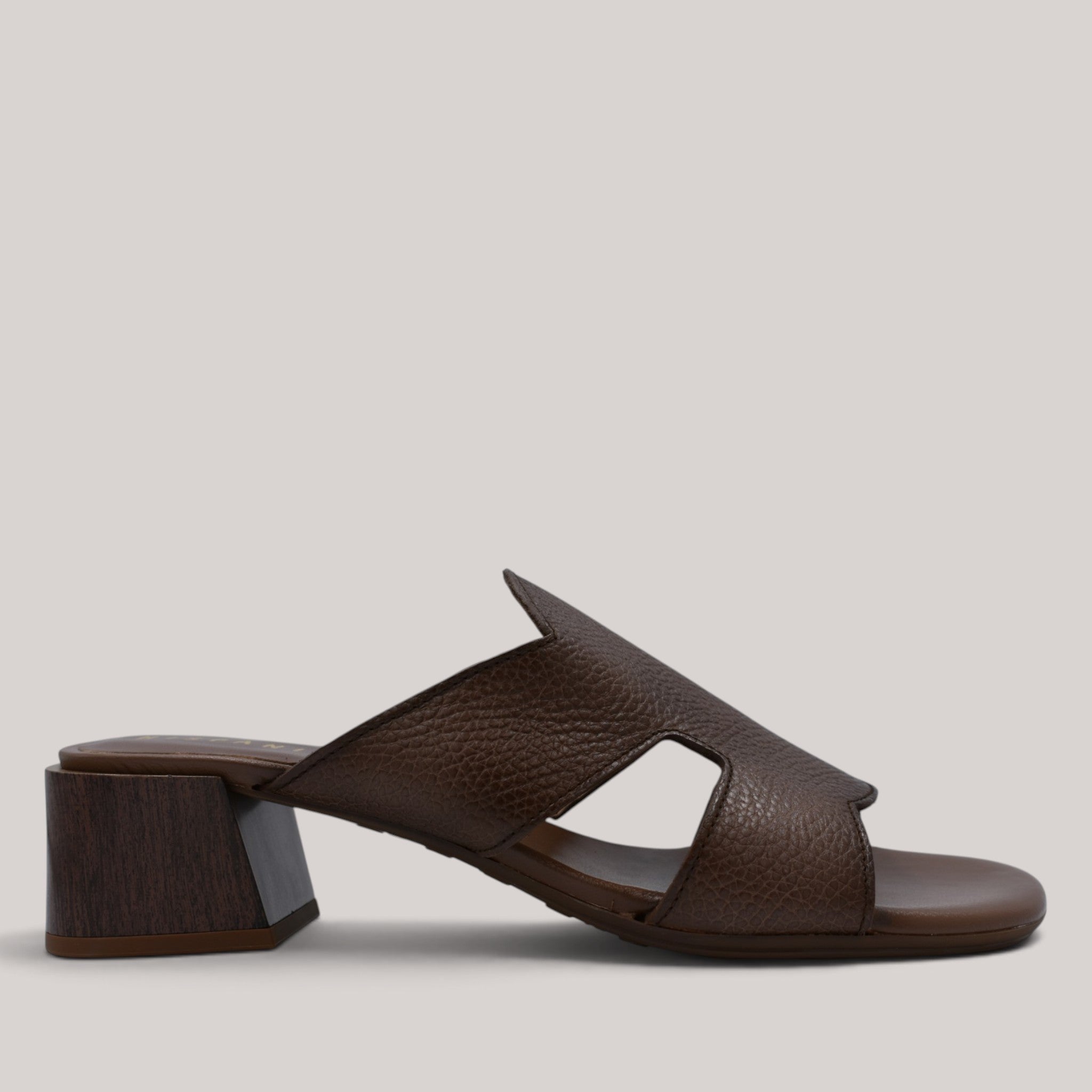Hispanitas - Hv264878 - Tulipan