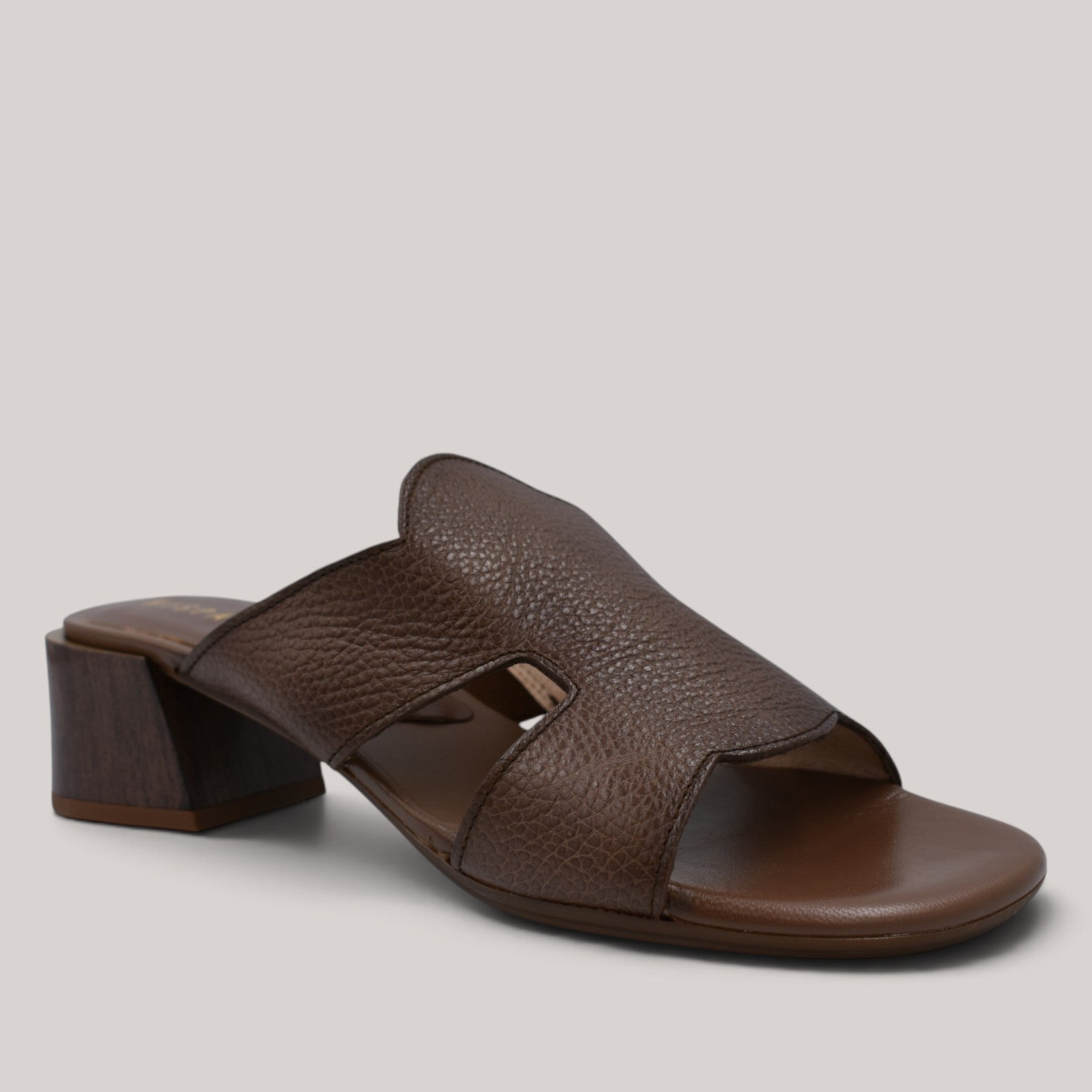 Hispanitas - Hv264878 - Tulipan