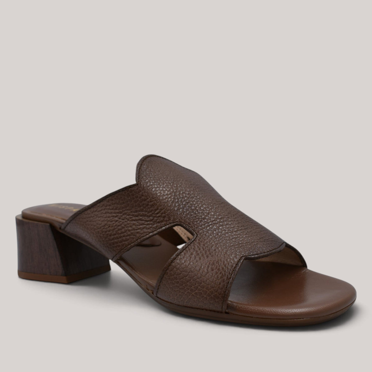 Hispanitas - Hv264878 - Tulipan