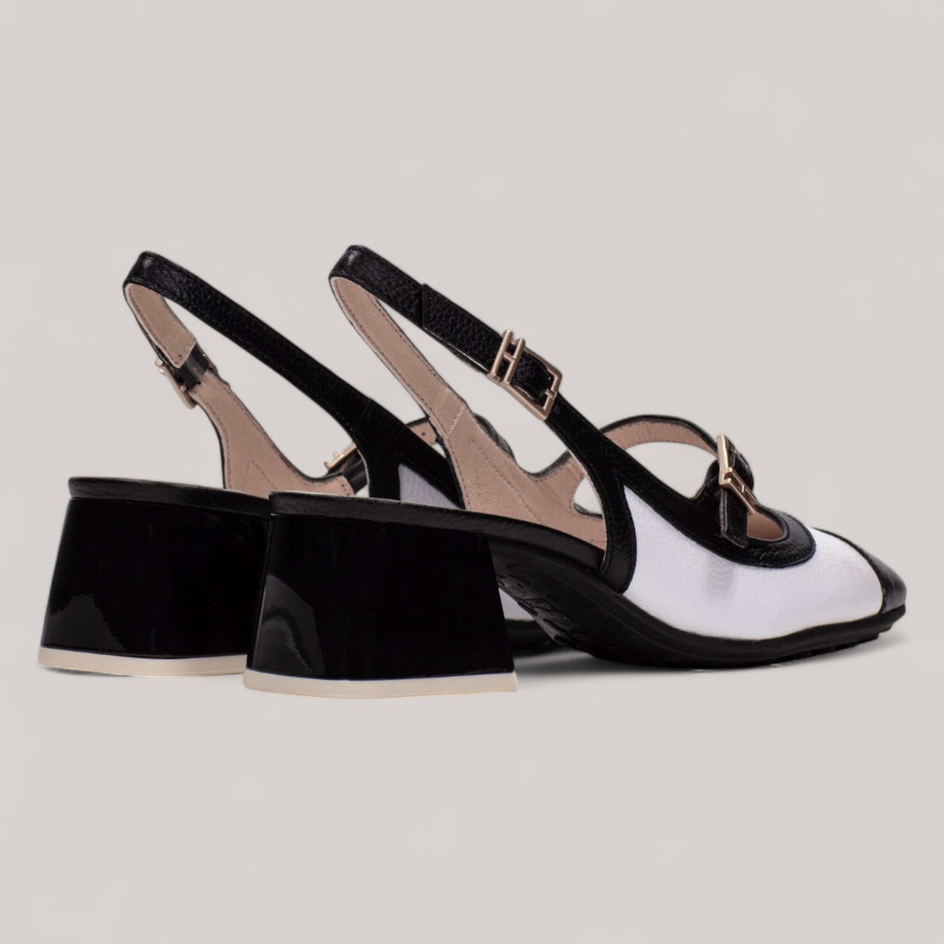 Hispanitas - Hv253860 - Hanoi