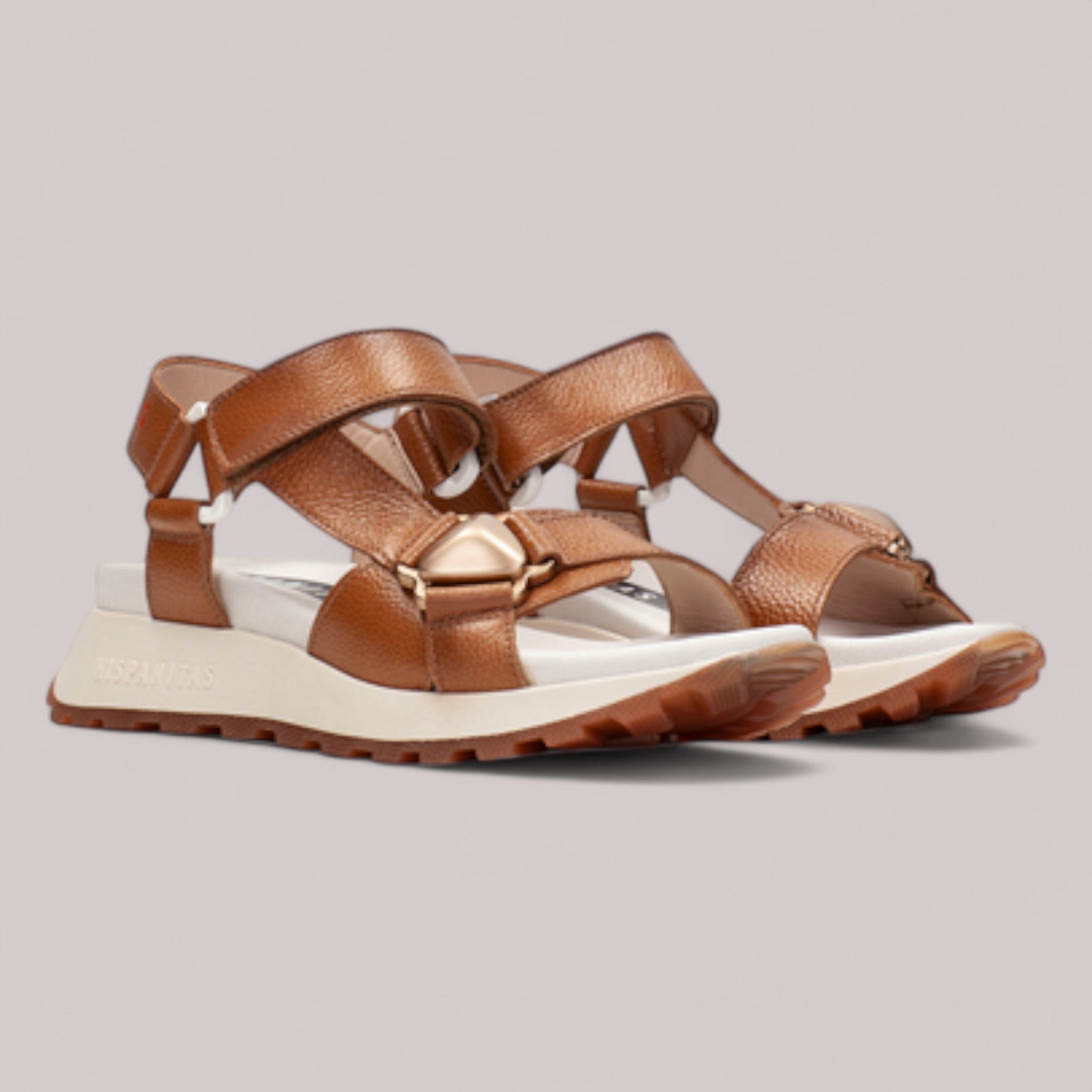 Hispanitas - Chv253896 - Maui