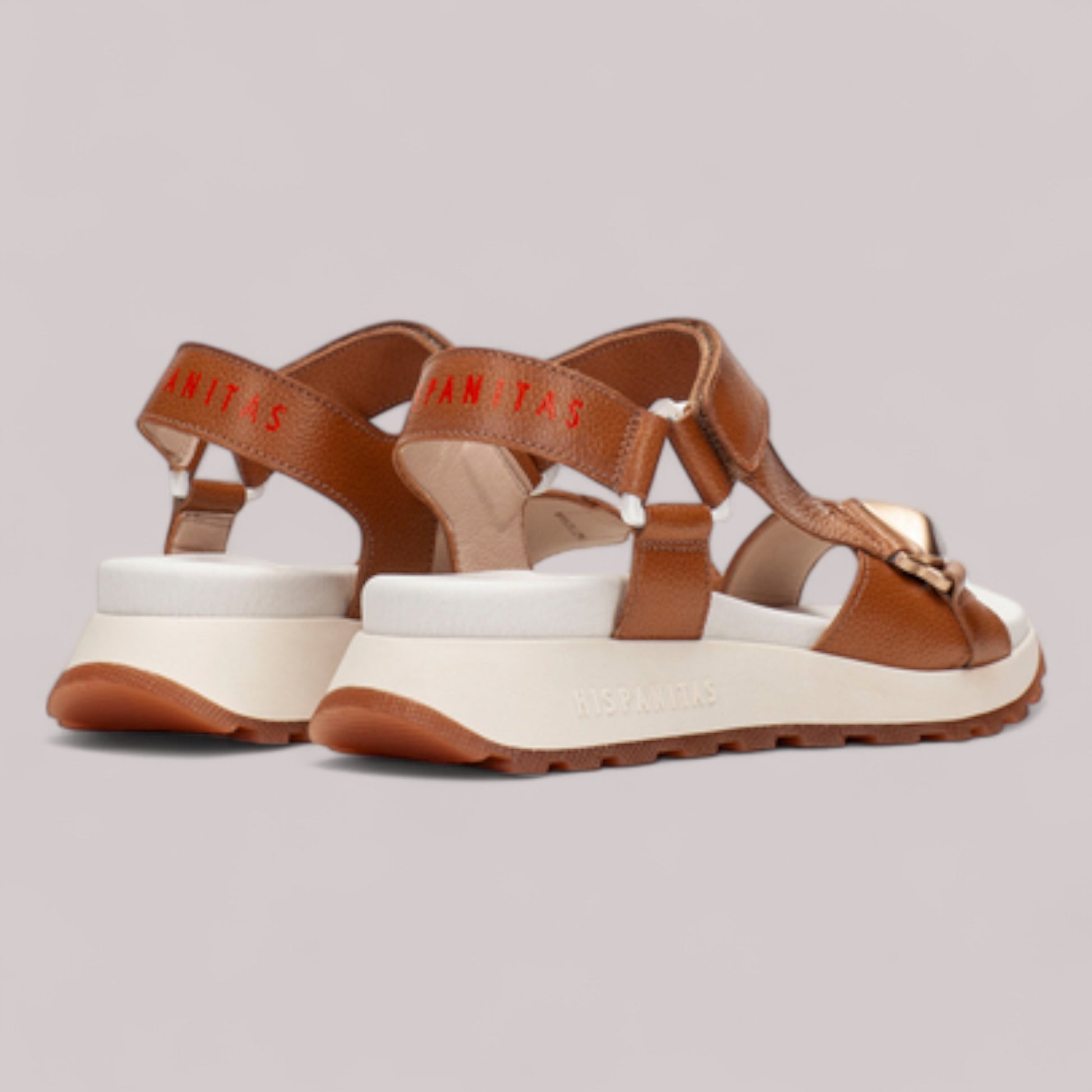 Hispanitas - Chv253896 - Maui