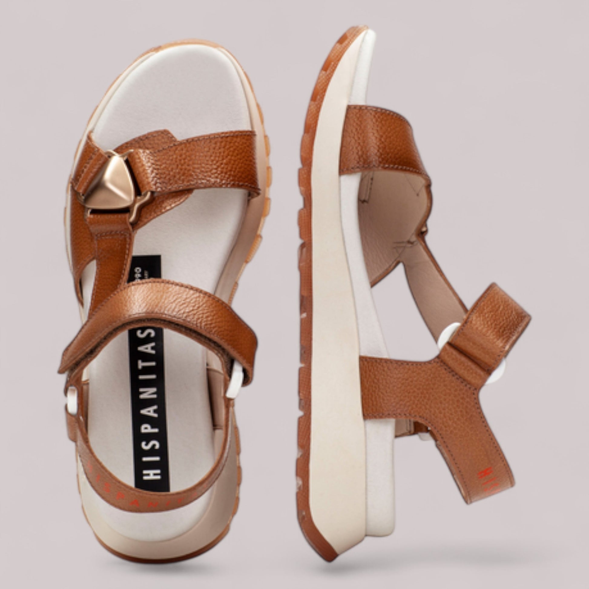 Hispanitas - Chv253896 - Maui