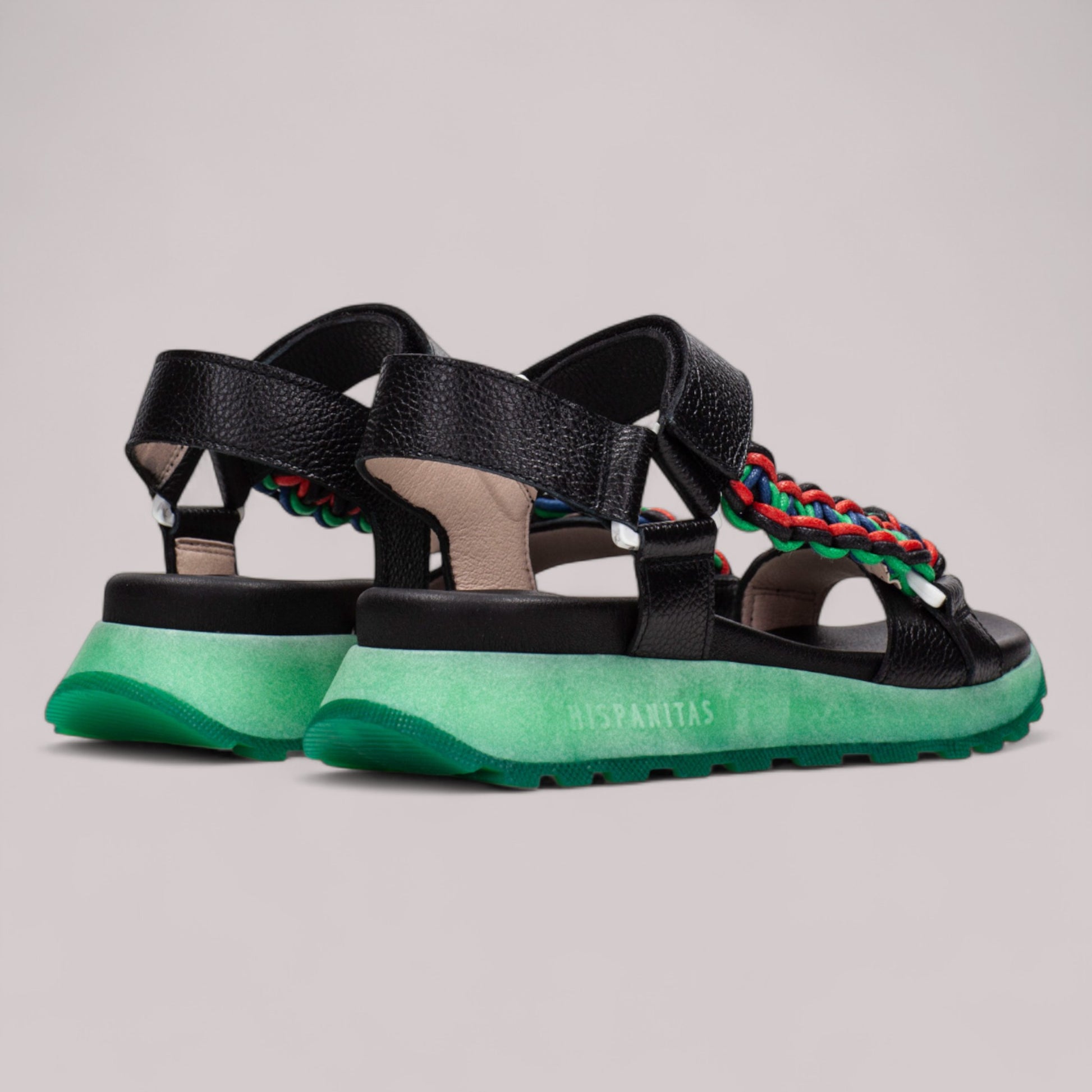 Hispanitas - Hv253898 - Maui