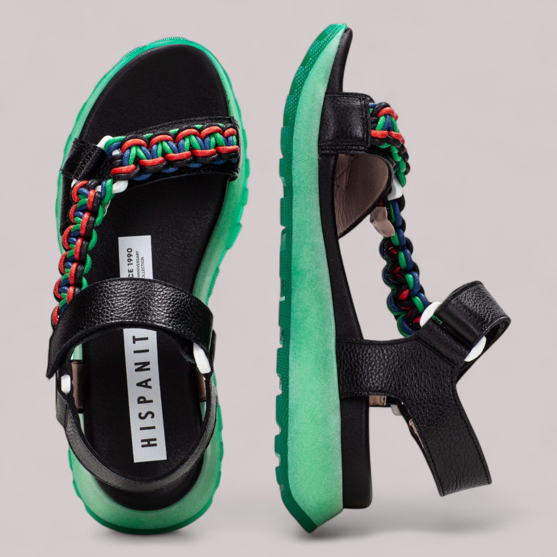 Hispanitas - Hv253898 - Maui