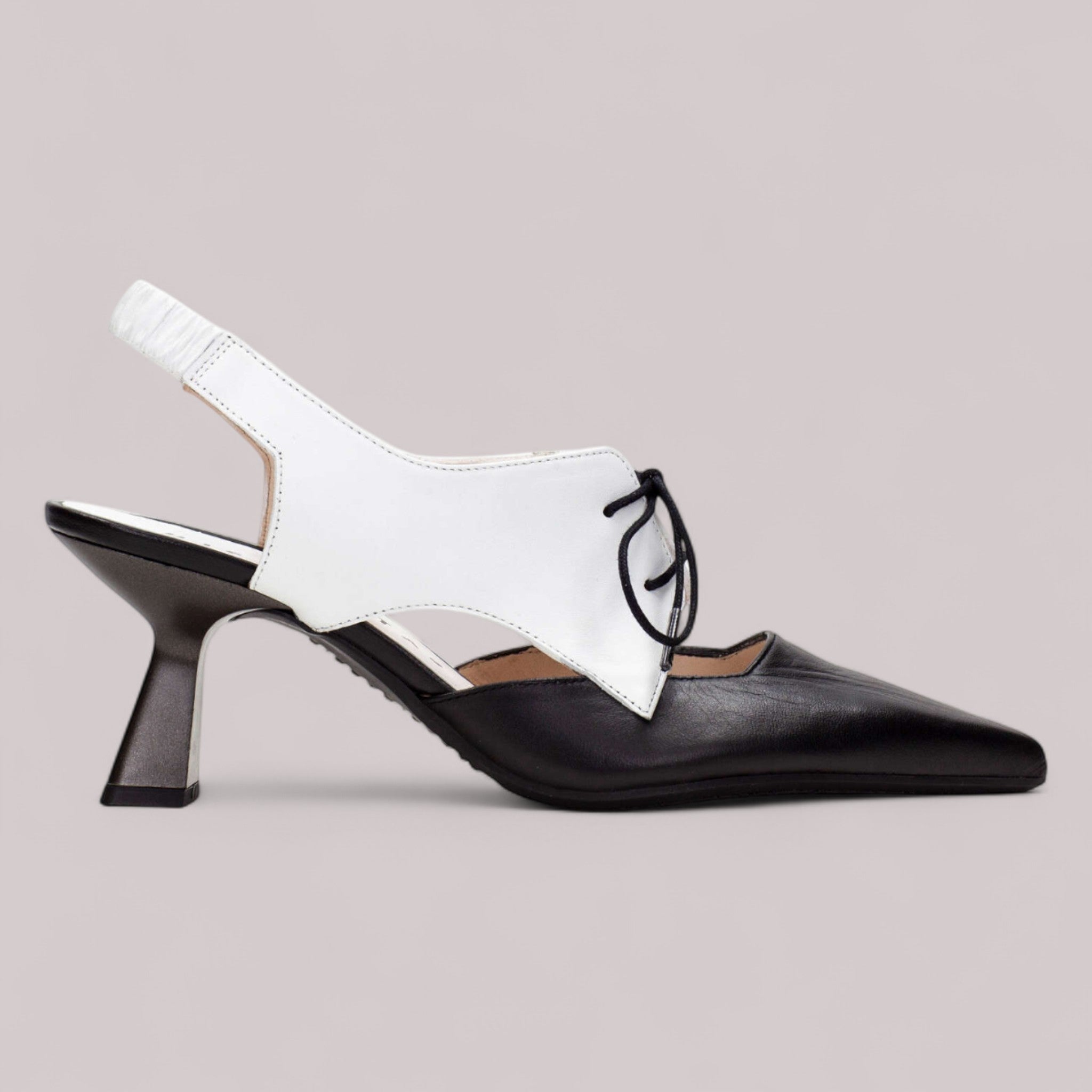 Hispanitas - Hv253907 - Nova