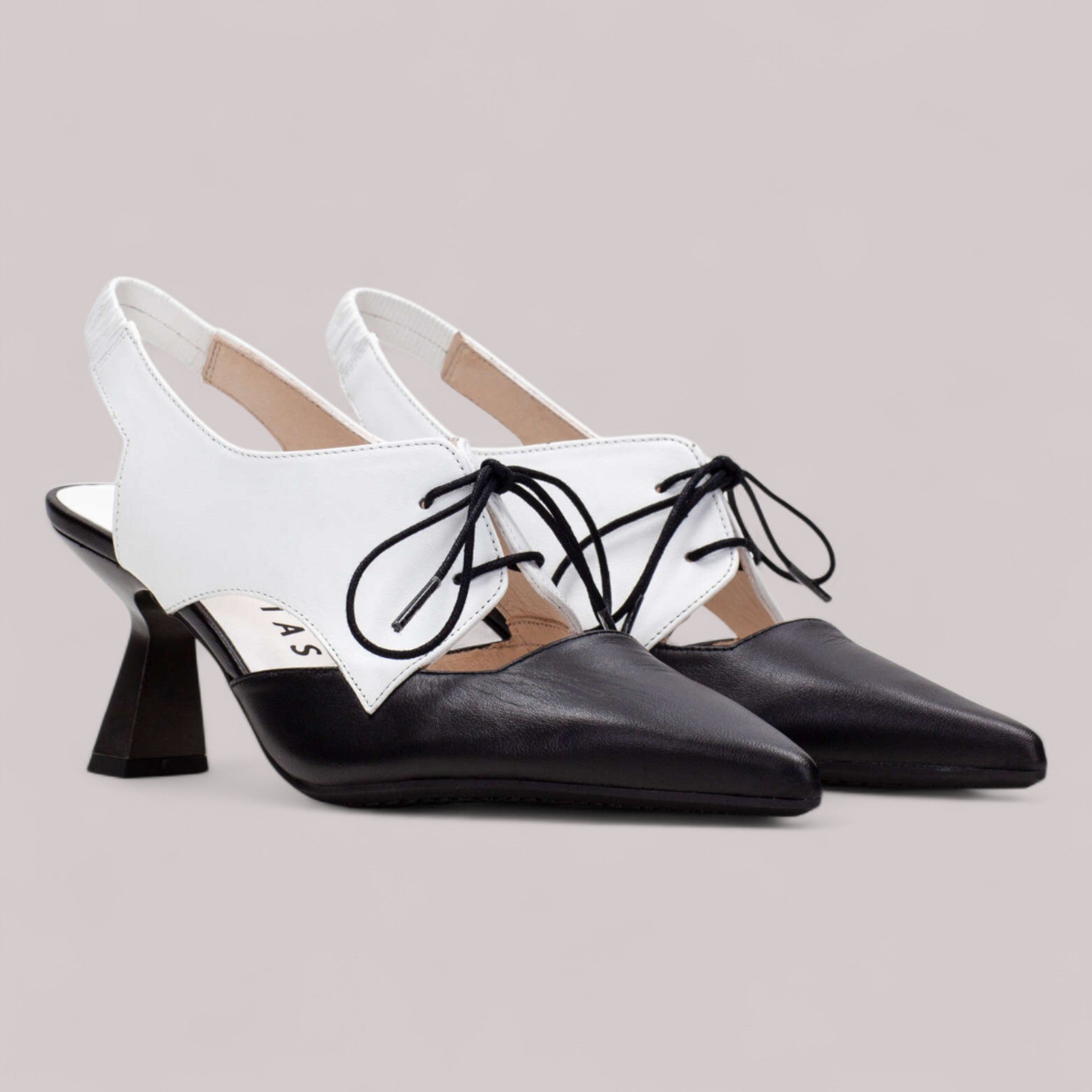 Hispanitas - Hv253907 - Nova