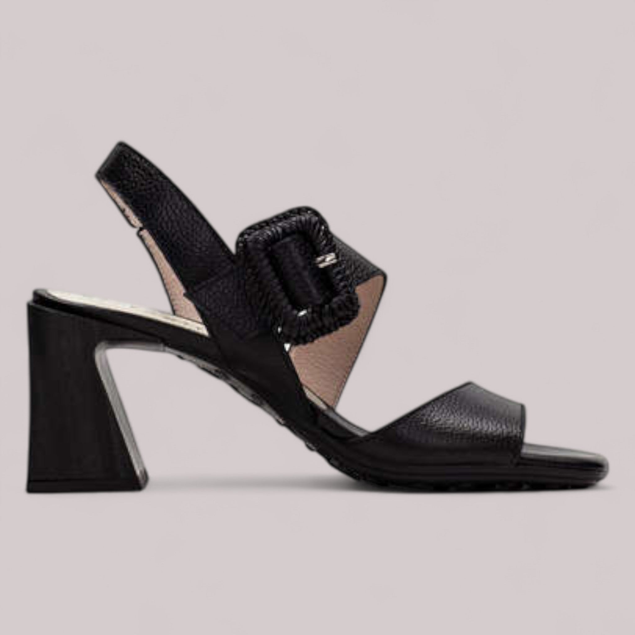 Hispanitas - Hv253908 - Miami