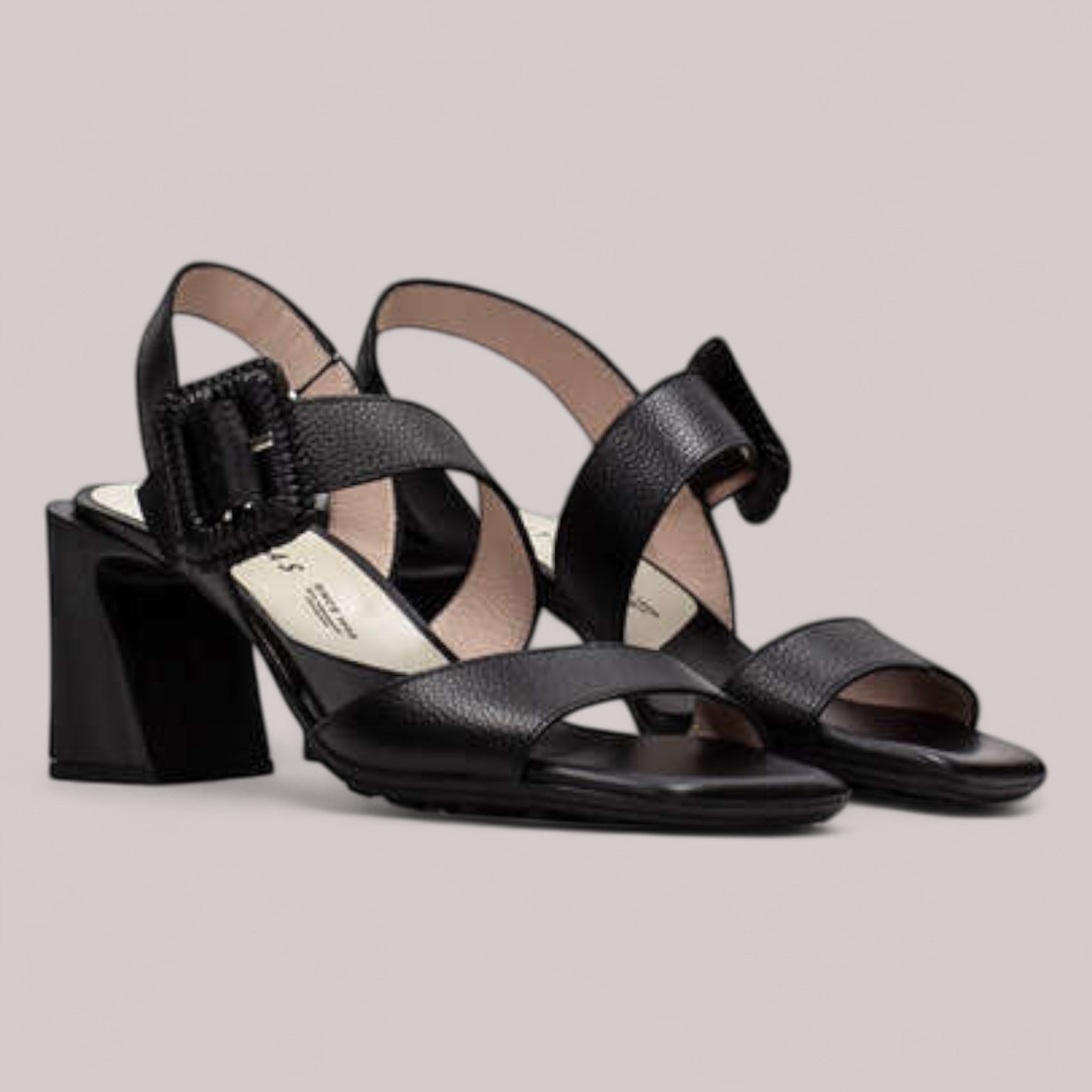 Hispanitas - Hv253908 - Miami