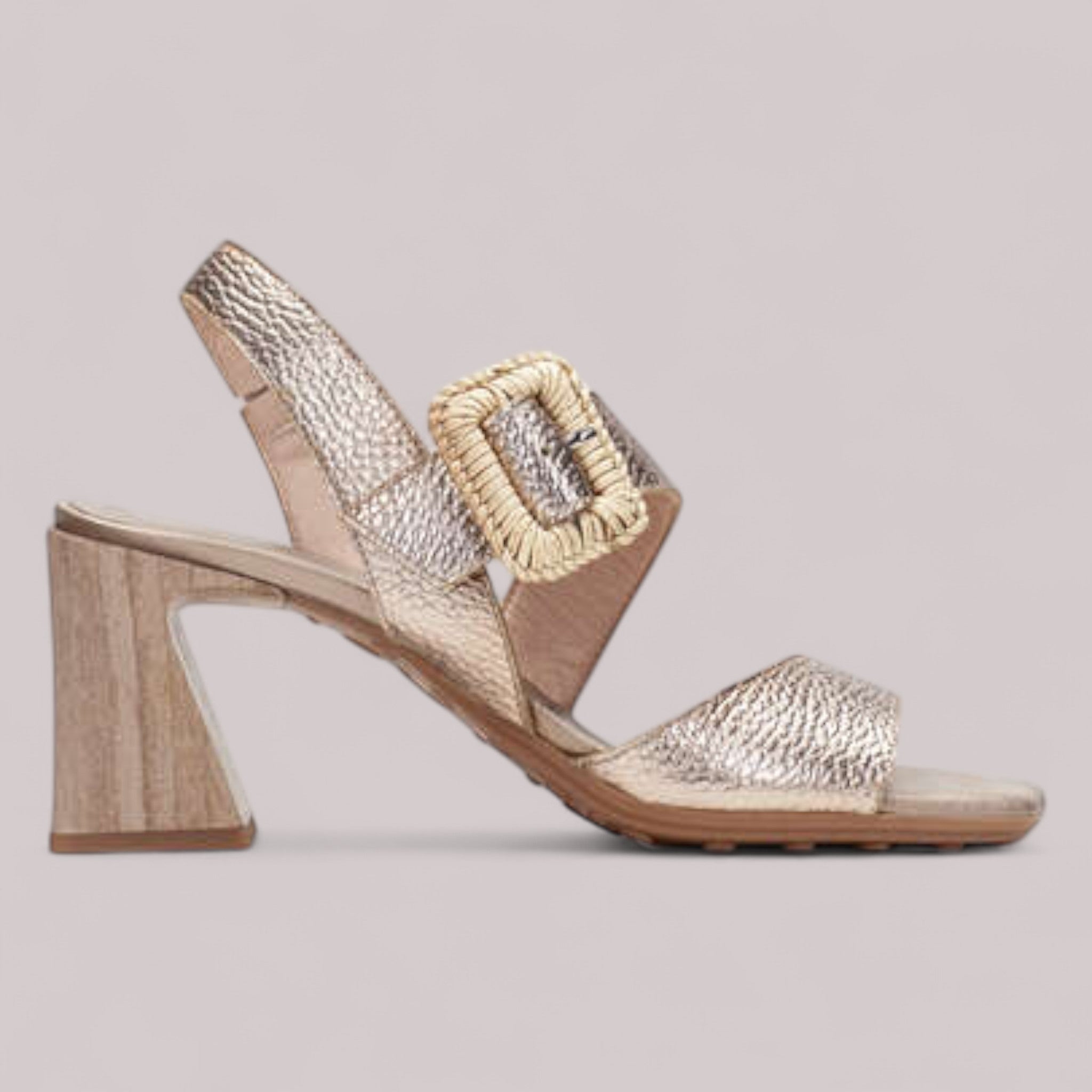 Hispanitas - Hv253908 - Miami