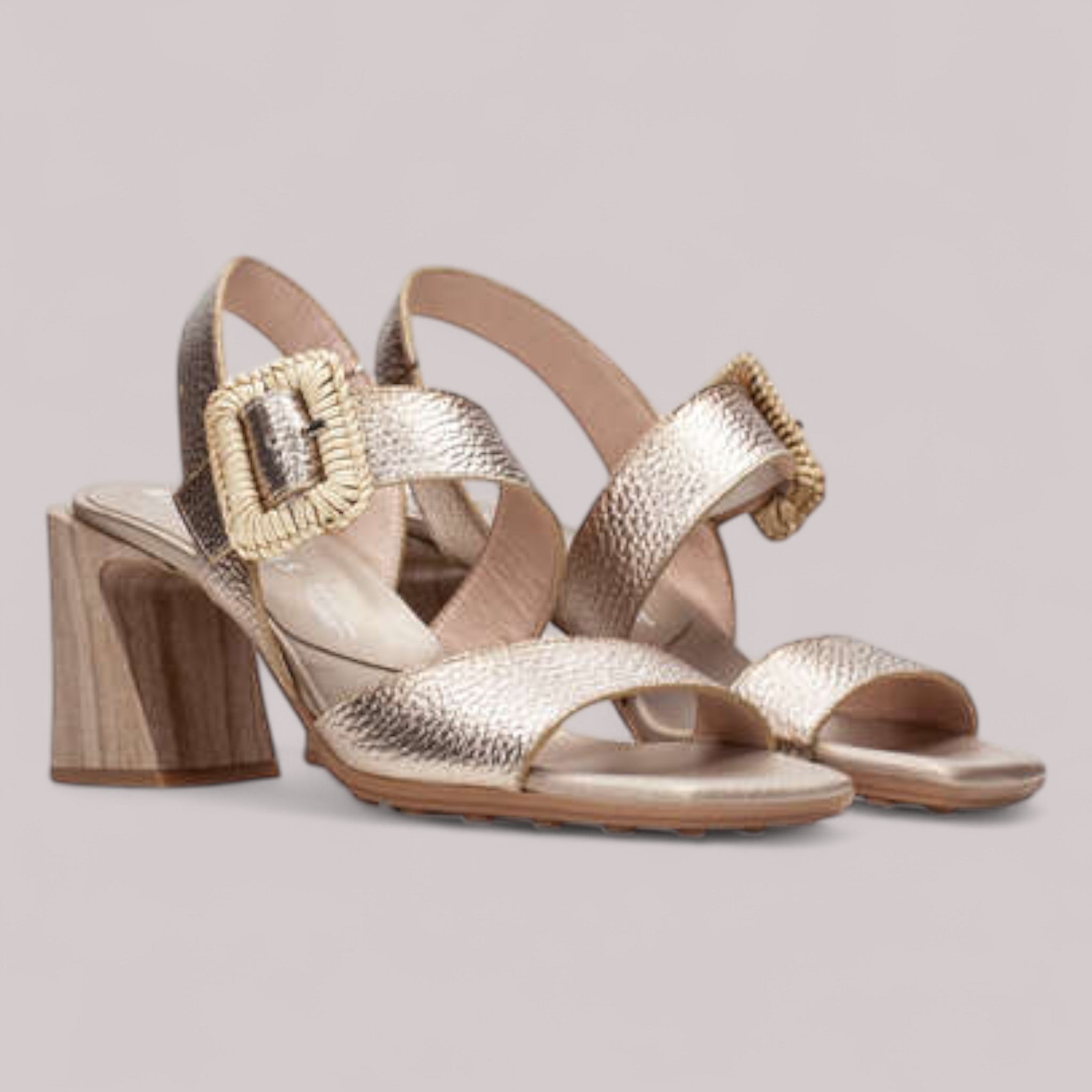 Hispanitas - Hv253908 - Miami