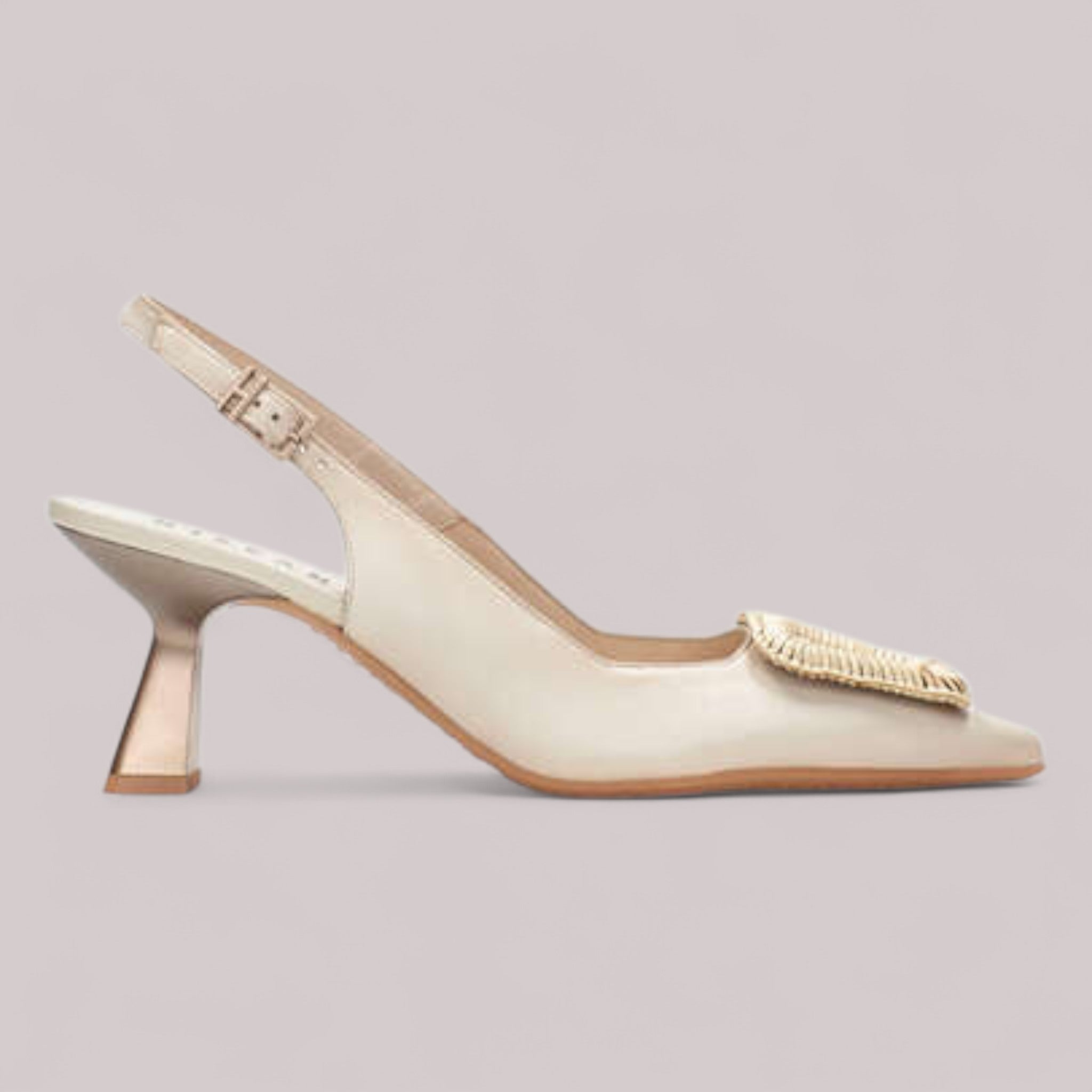 Hispanitas - Hv253910 - Nova