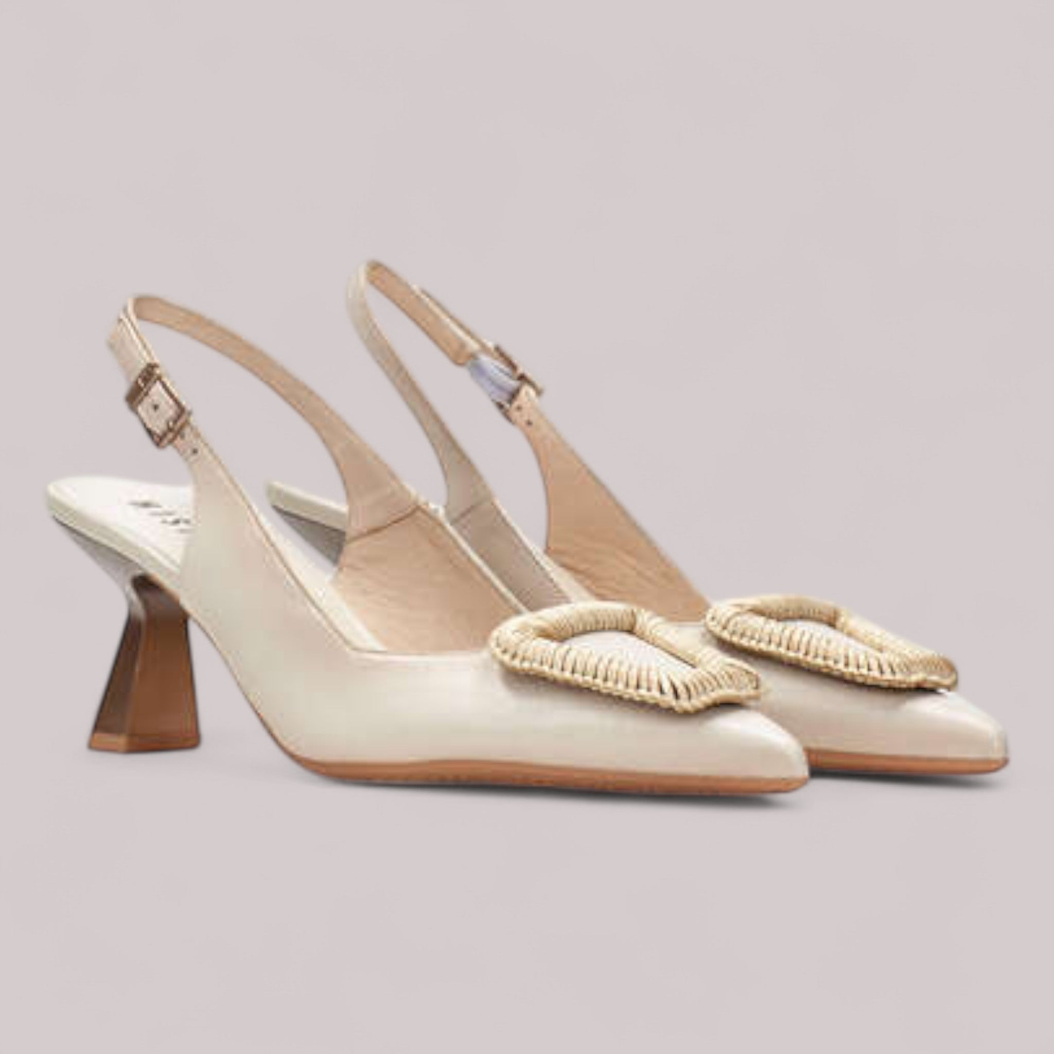 Hispanitas - Hv253910 - Nova