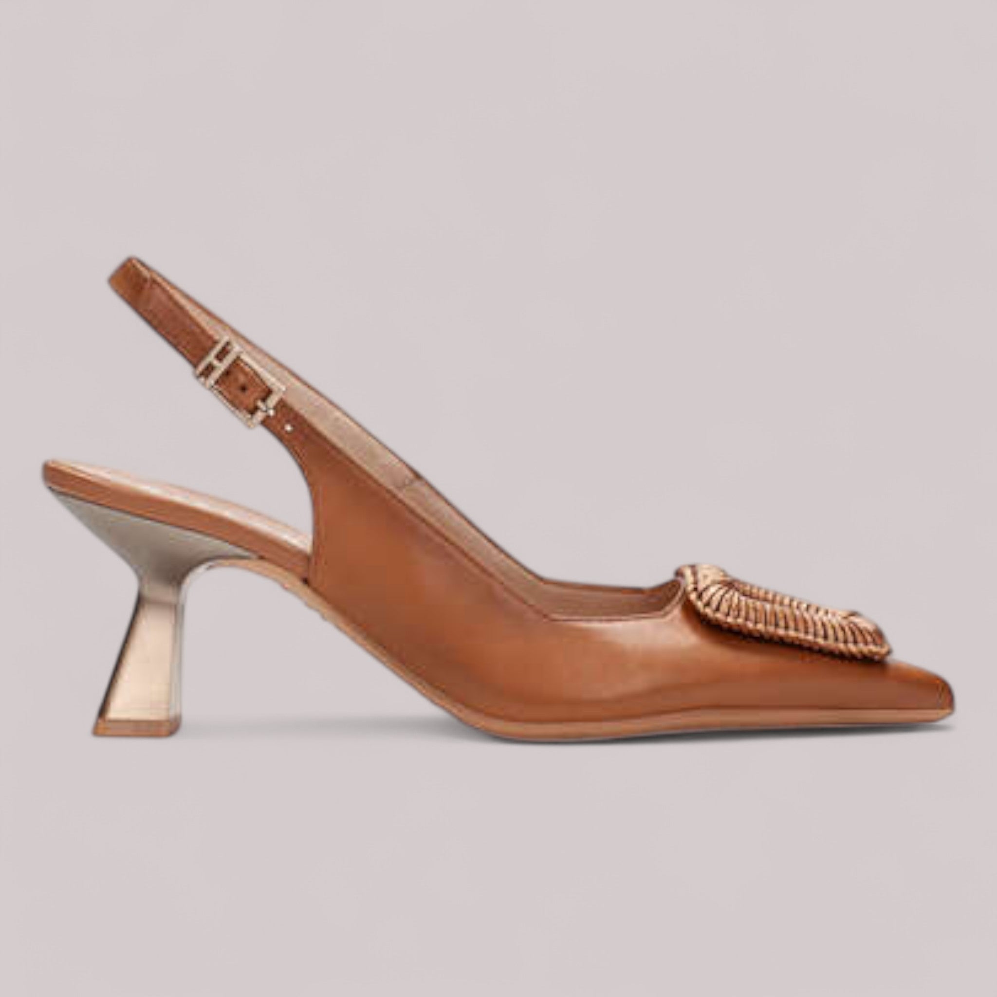 Hispanitas - Hv253910 - Nova