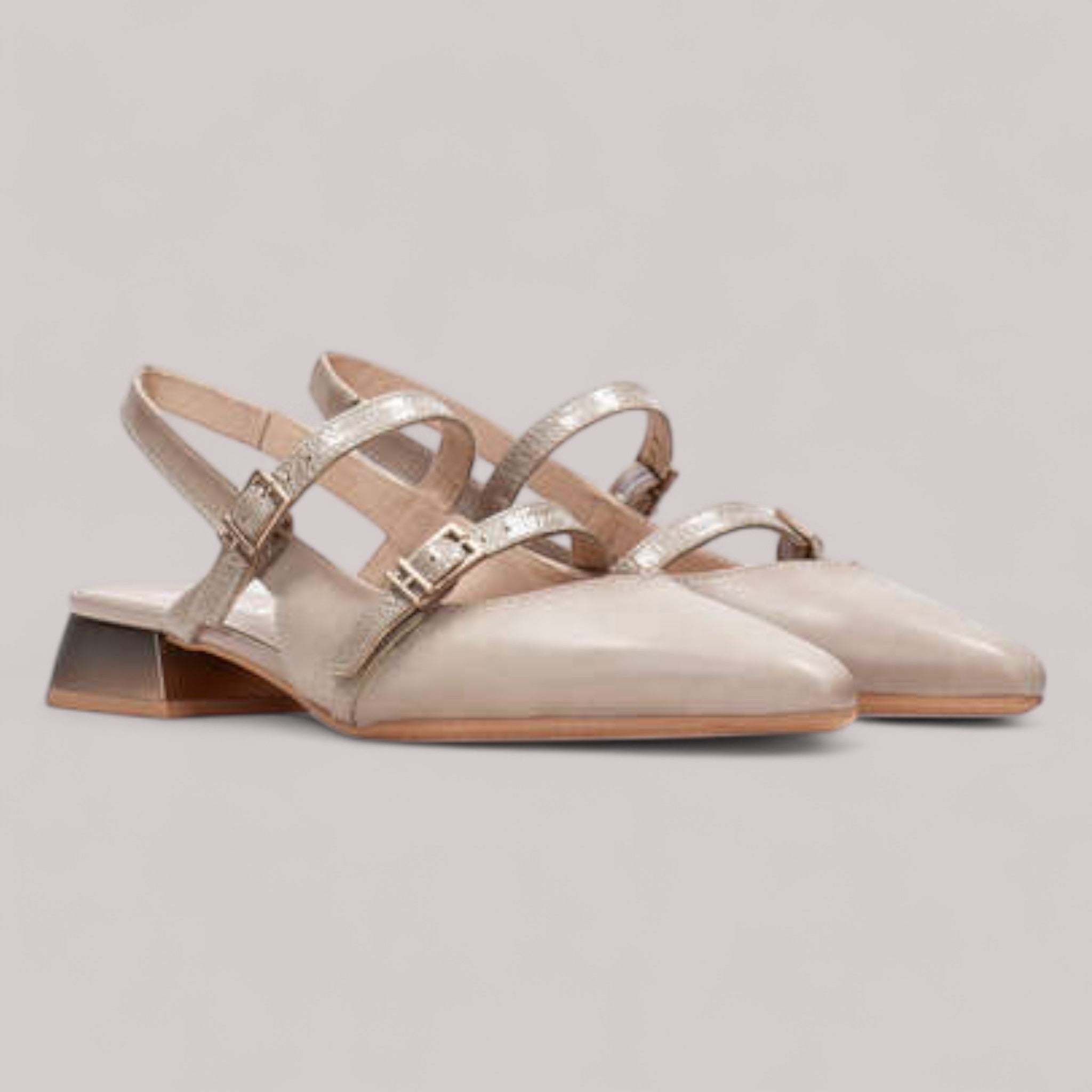 Hispanitas - Hv253922 - Dali