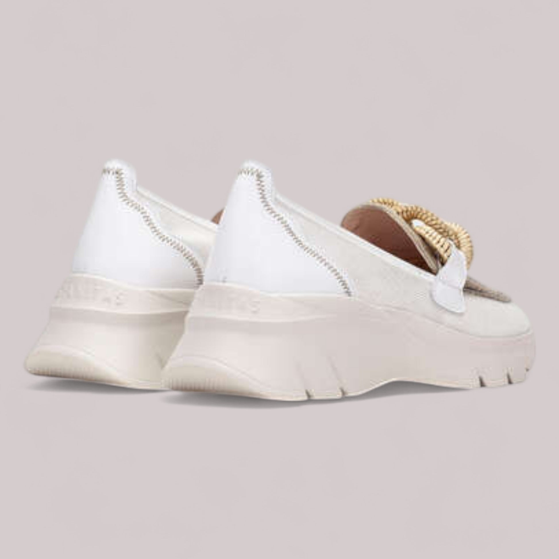 Hispanitas - Hv254050 - Habana