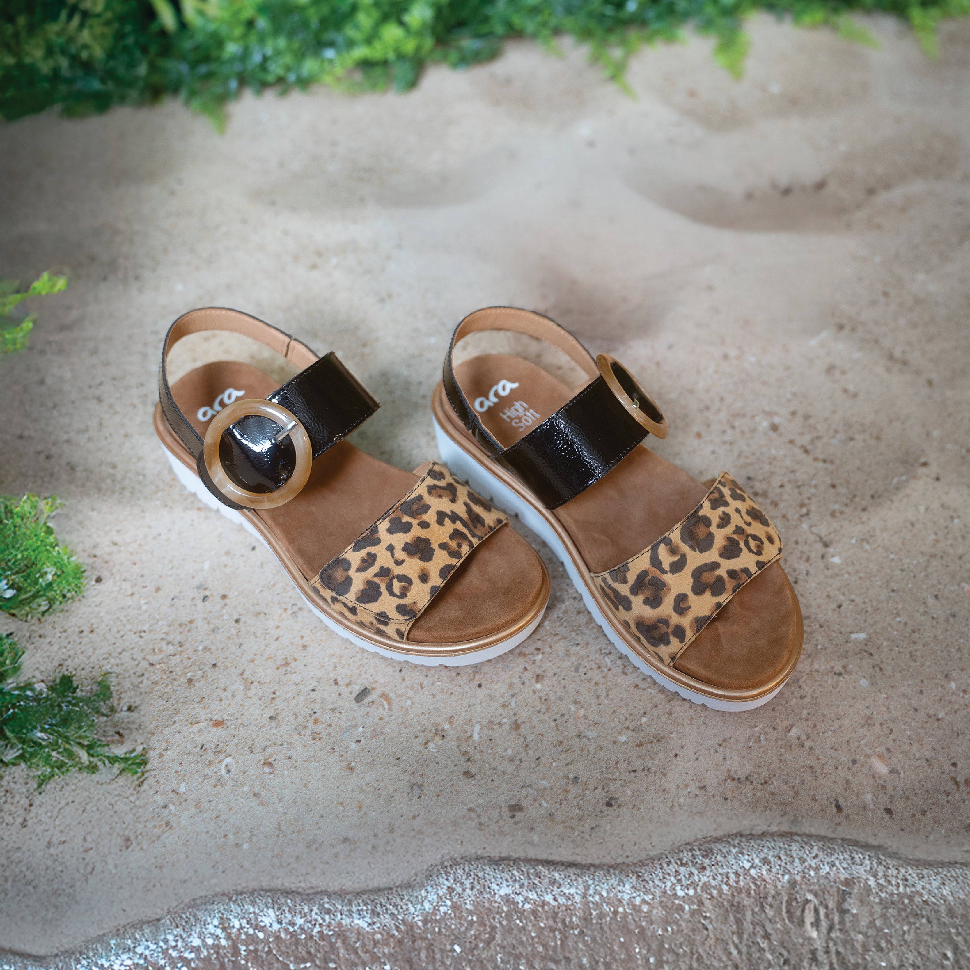 Ara - 33505 - Bilboa