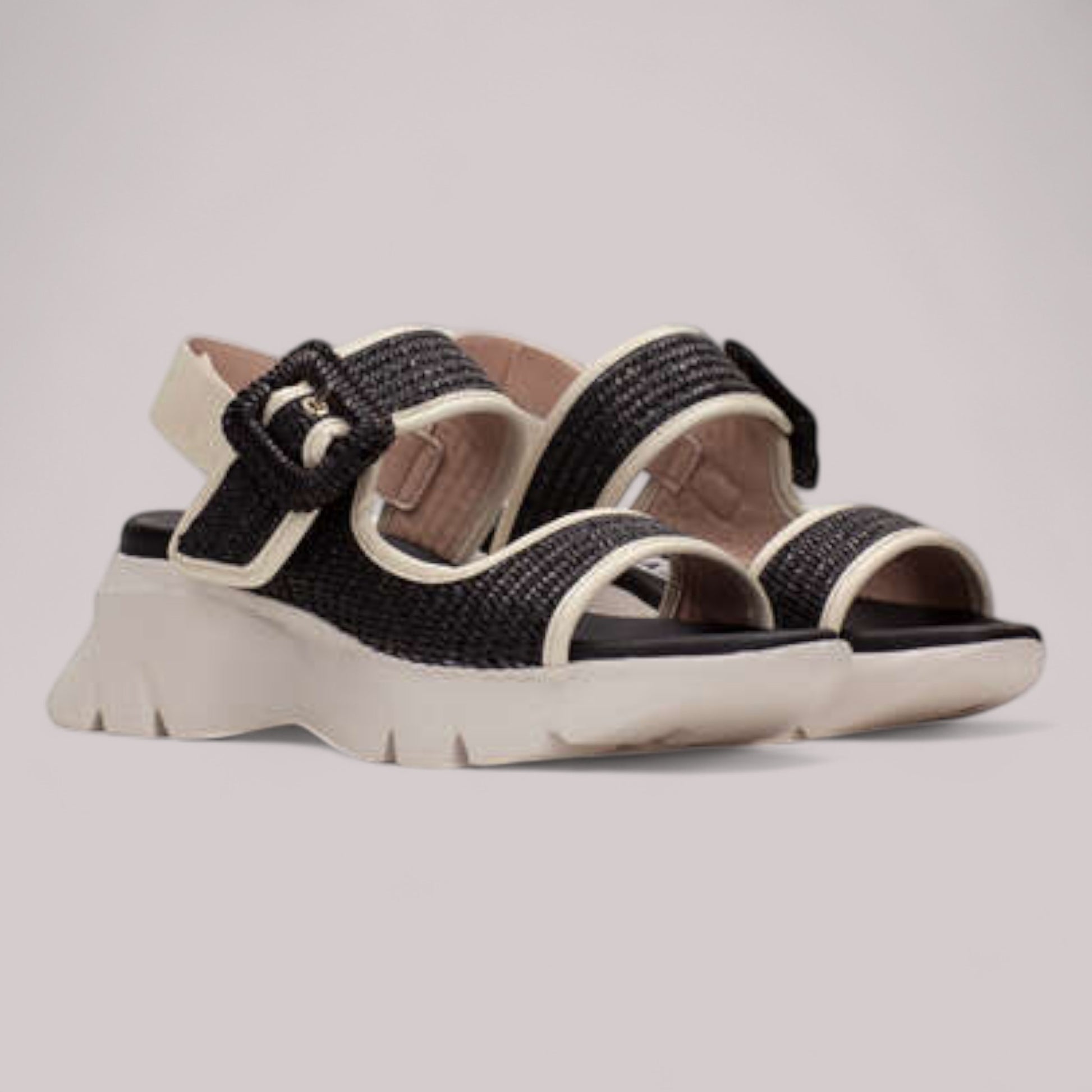 Hispanitas - Rhv254084 - Dakar