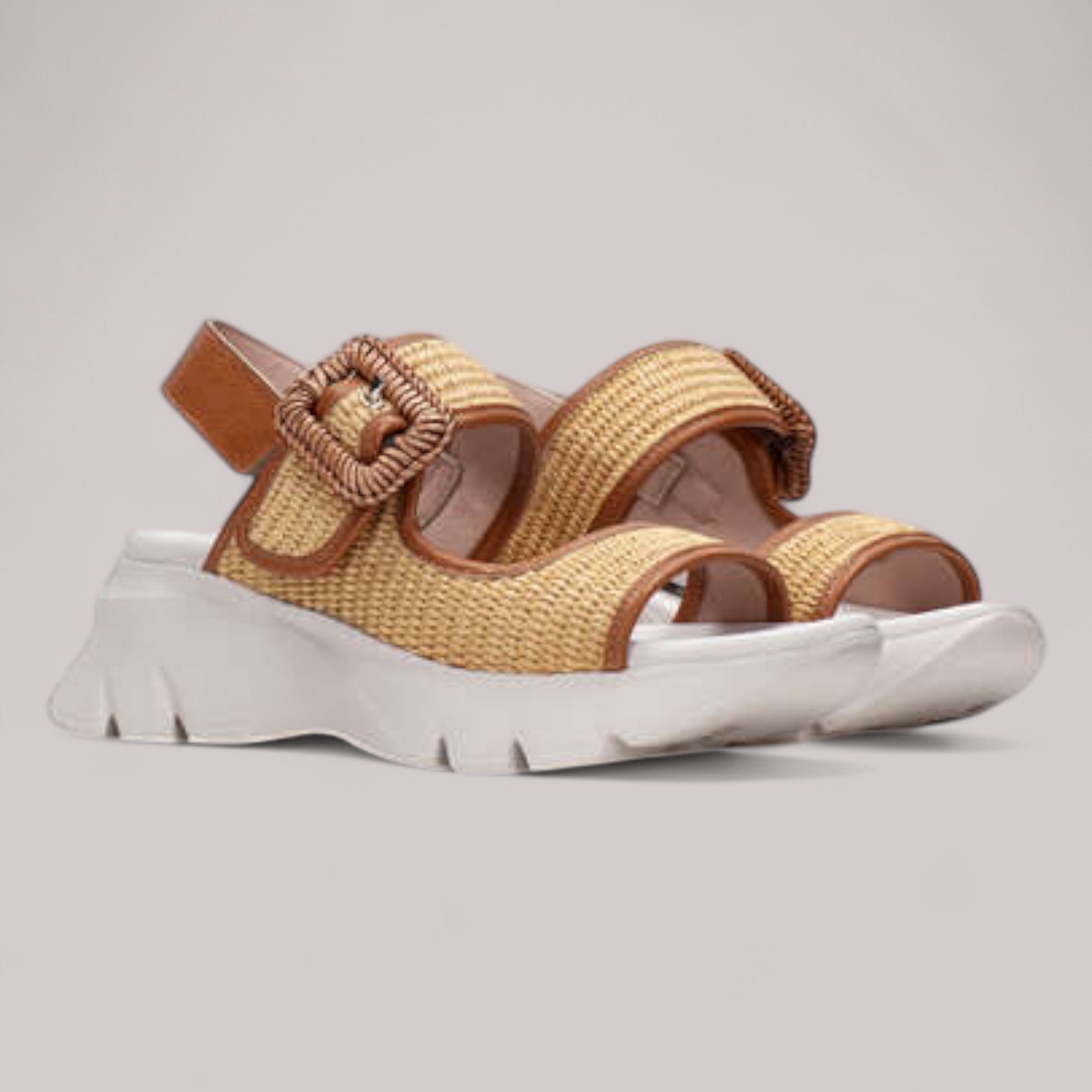 Hispanitas - Rhv254084 - Dakar