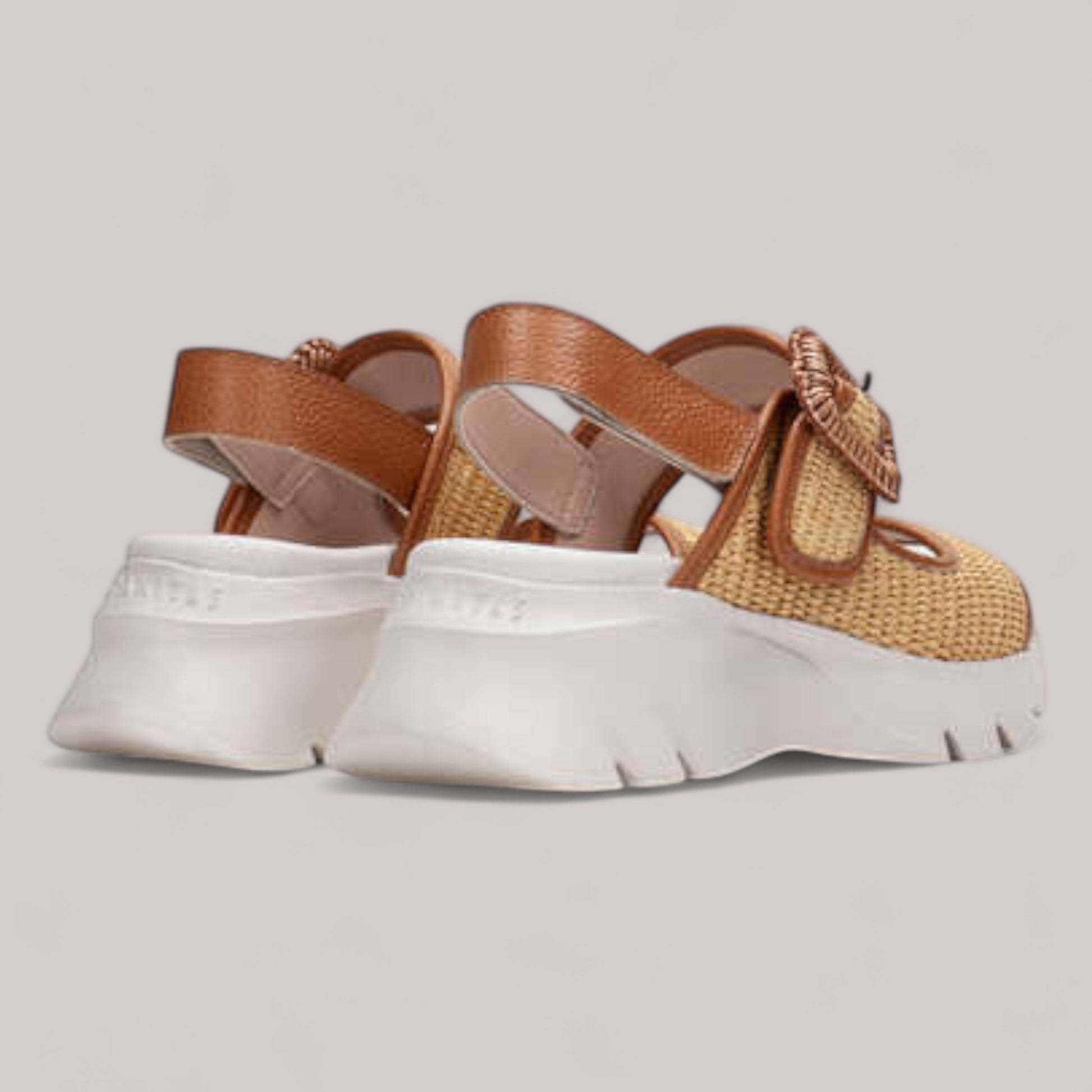 Hispanitas - Rhv254084 - Dakar