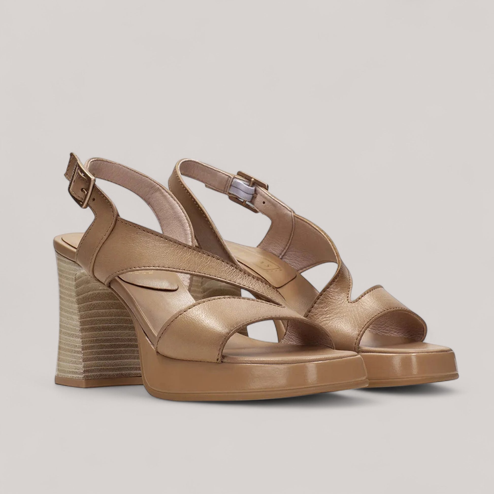 Hispanitas - Hv243298 - Tahiti