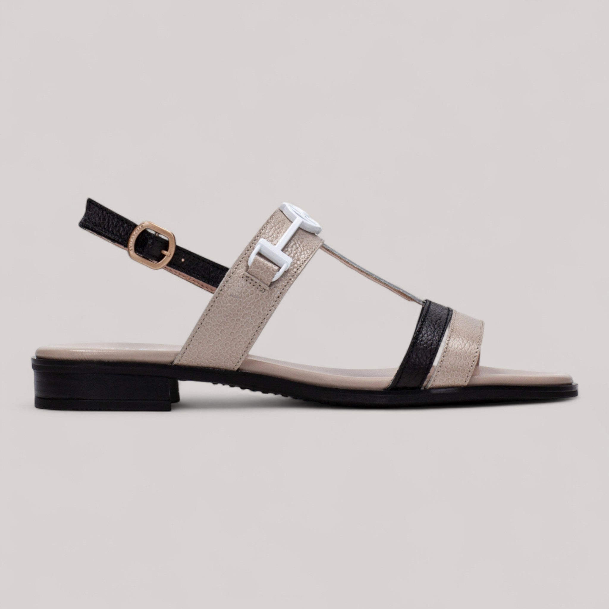 Hispanitas - Chv253952 - Yakarta